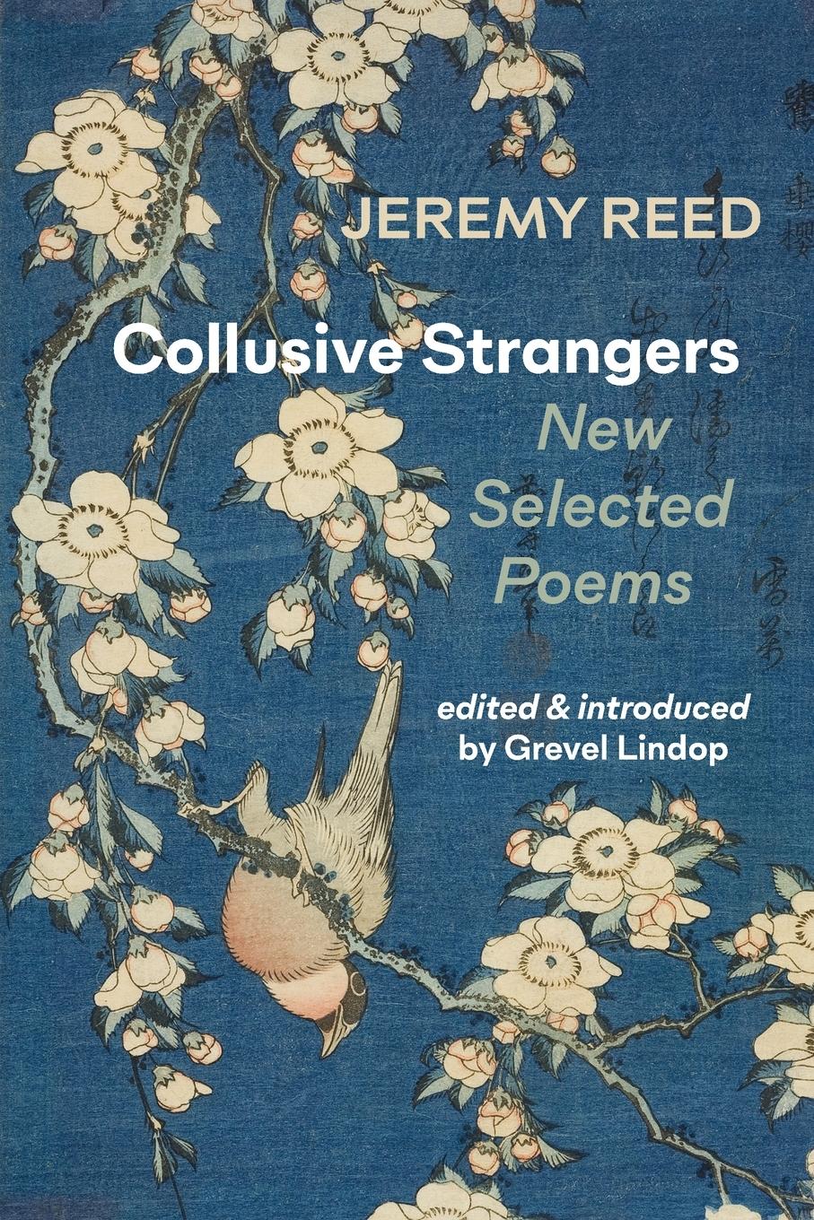 Vorderes Coverbild Collusive Strangers