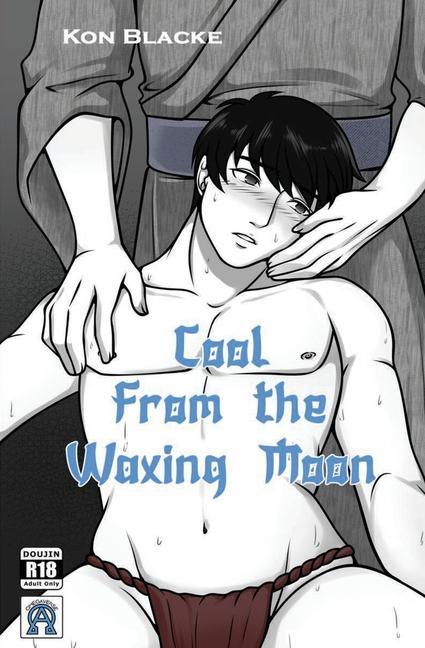 Vorderes Coverbild Cool From the Waxing Moon