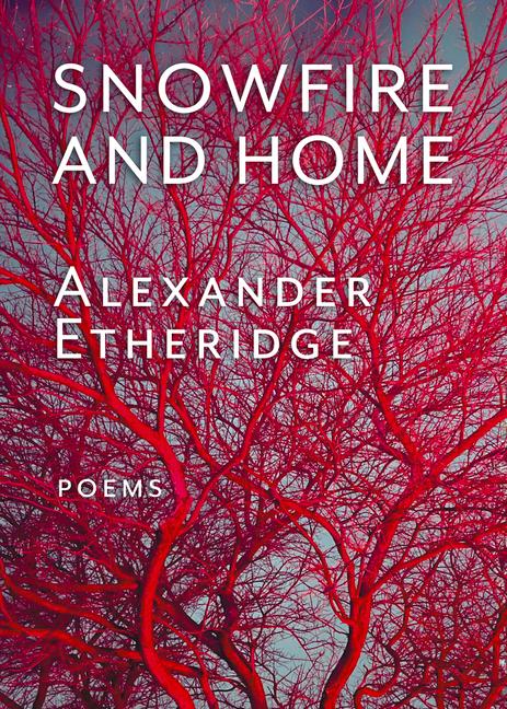 Vorderes Coverbild Snowfire and Home