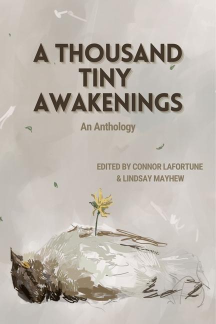Vorderes Coverbild A Thousand Tiny Awakenings