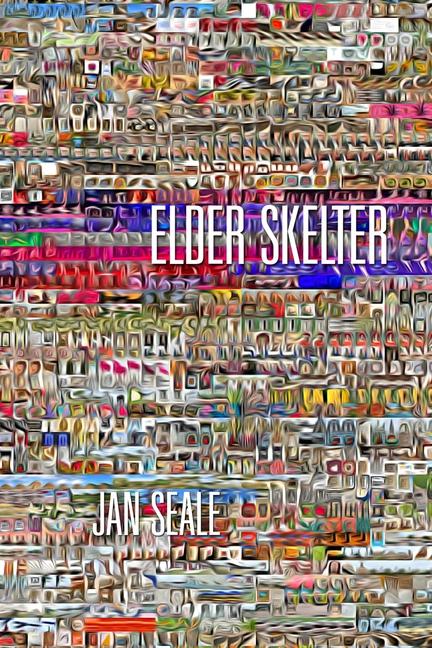 Vorderes Coverbild Elder Skelter