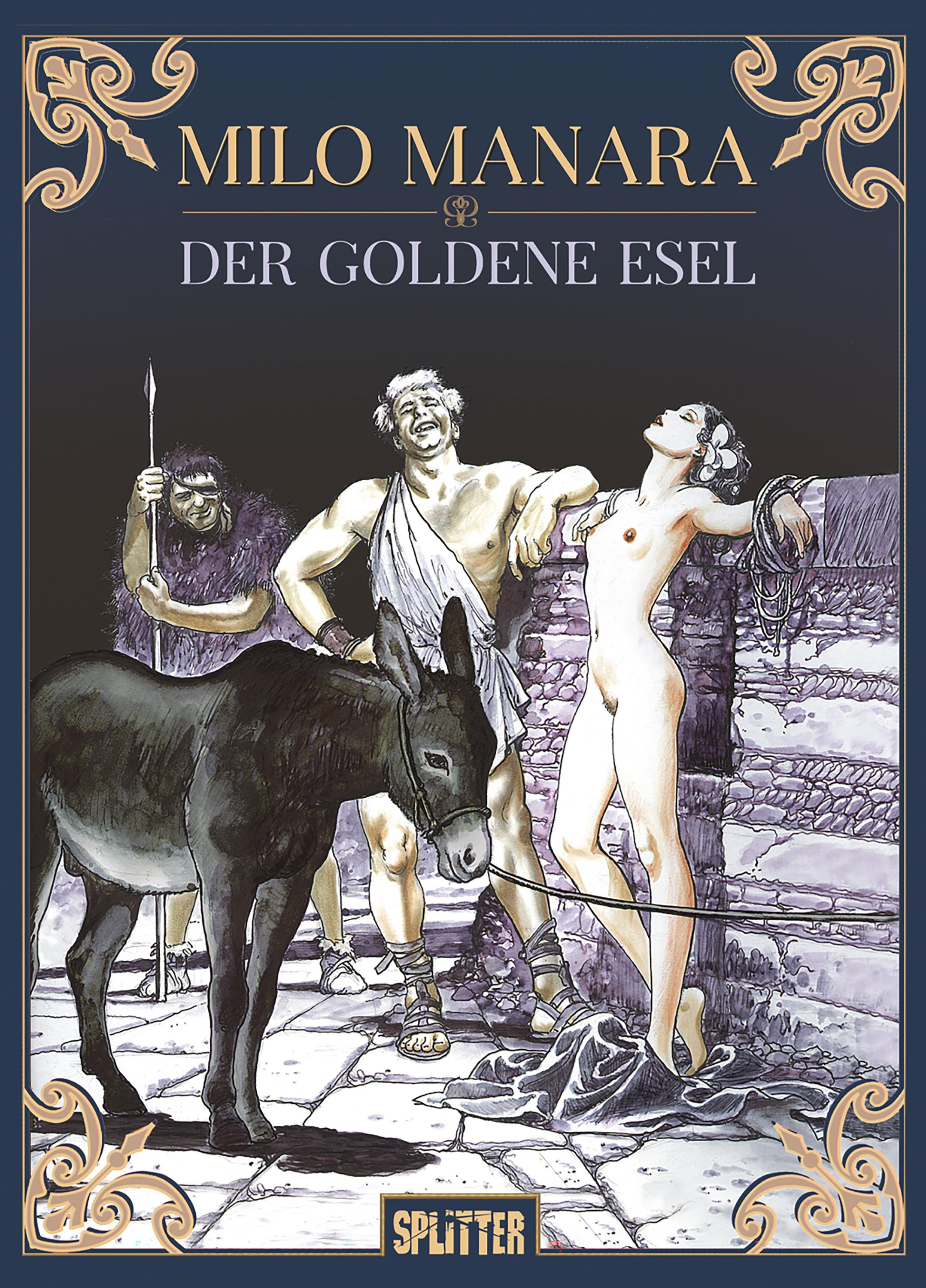 Vorderes Coverbild Der goldene Esel
