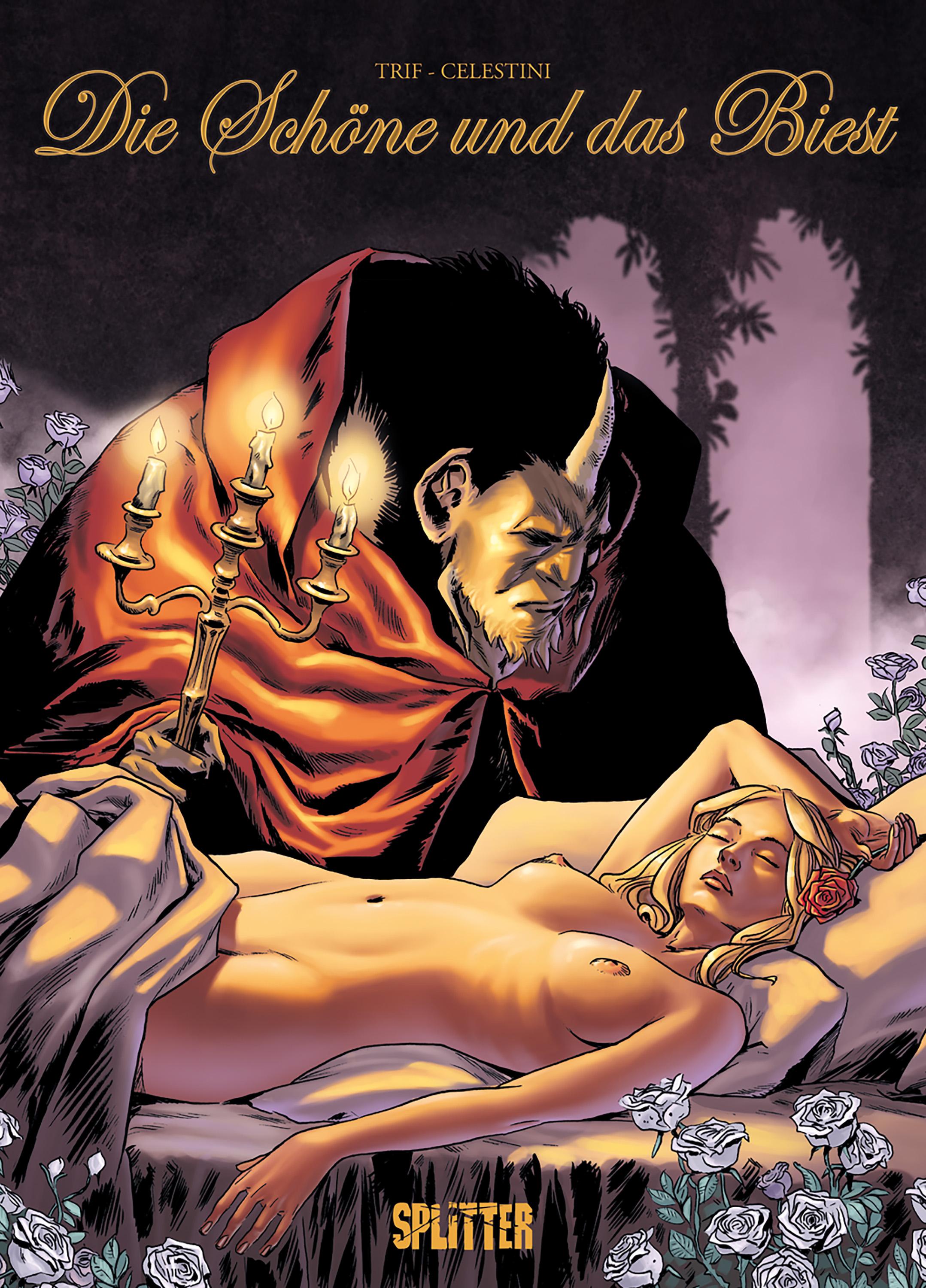 Vorderes Coverbild Die Schöne und das Biest