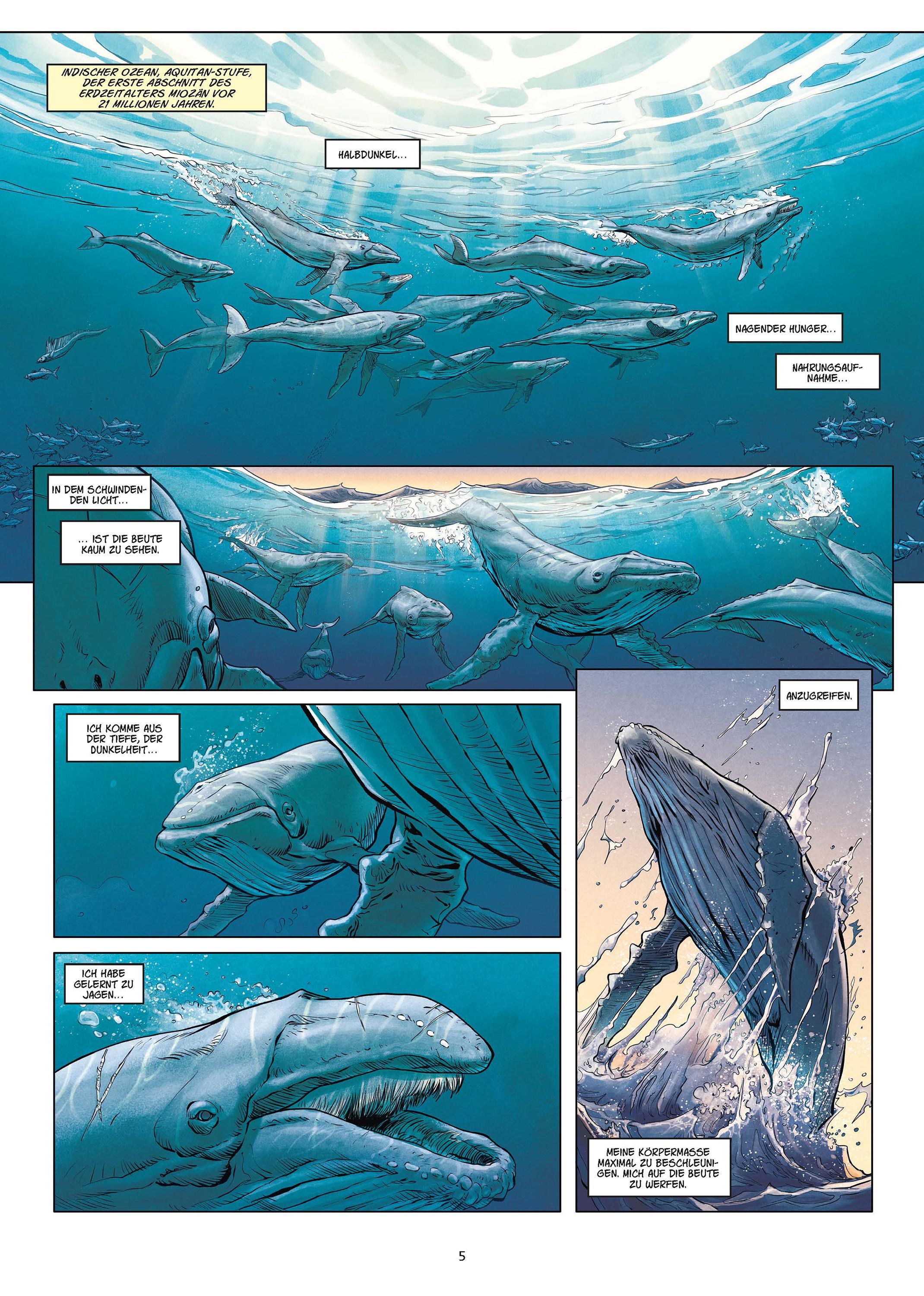Beispielinhalt (Bild) Megalodon