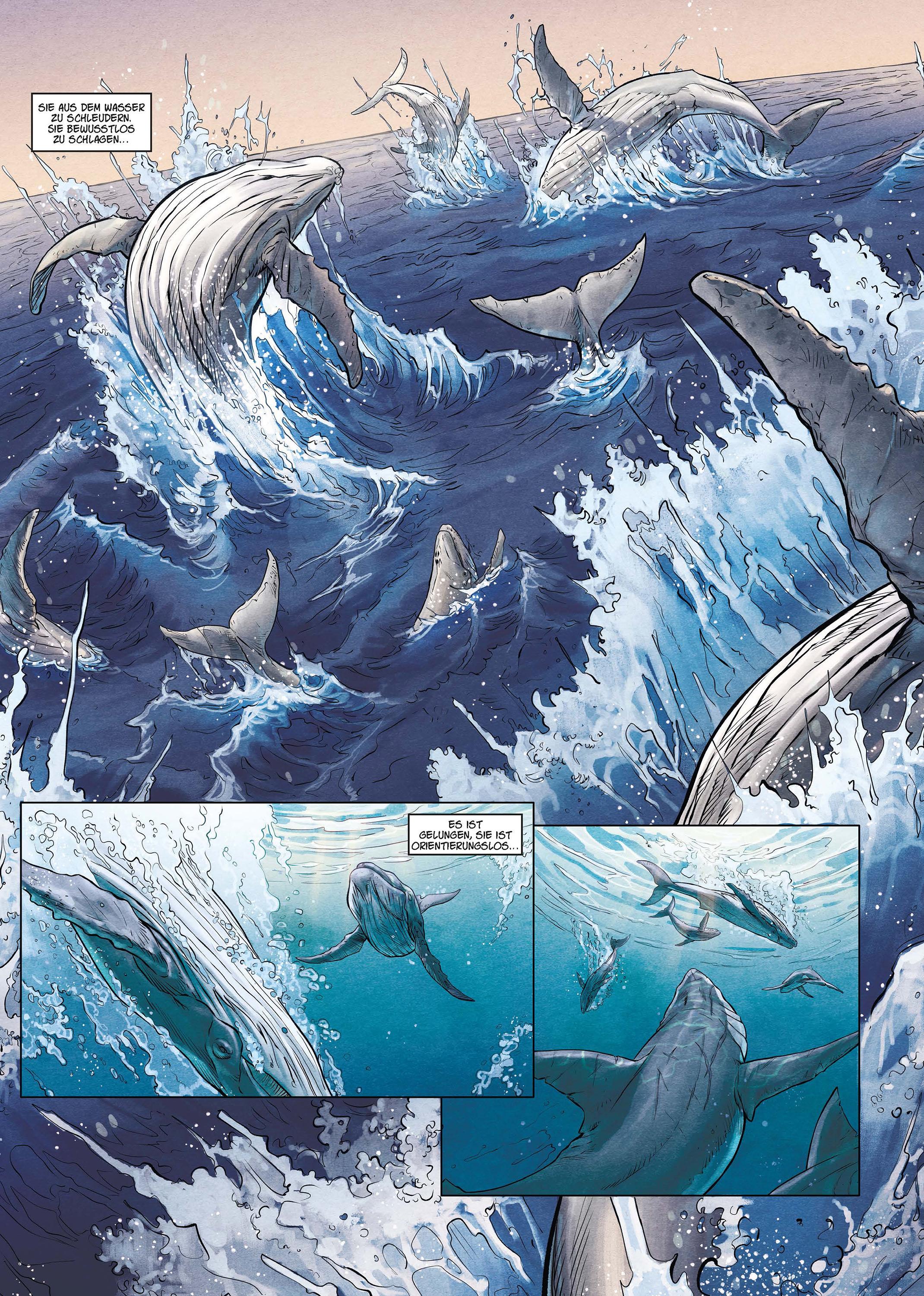 Beispielinhalt (Bild) Megalodon