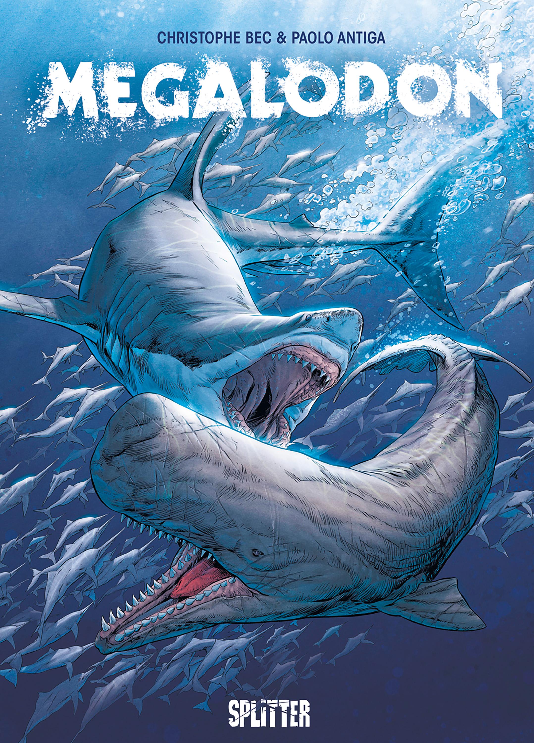 Vorderes Coverbild Megalodon