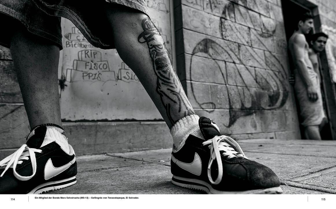 Beispielinhalt (Bild) SNEAKERS. Die Klassiker