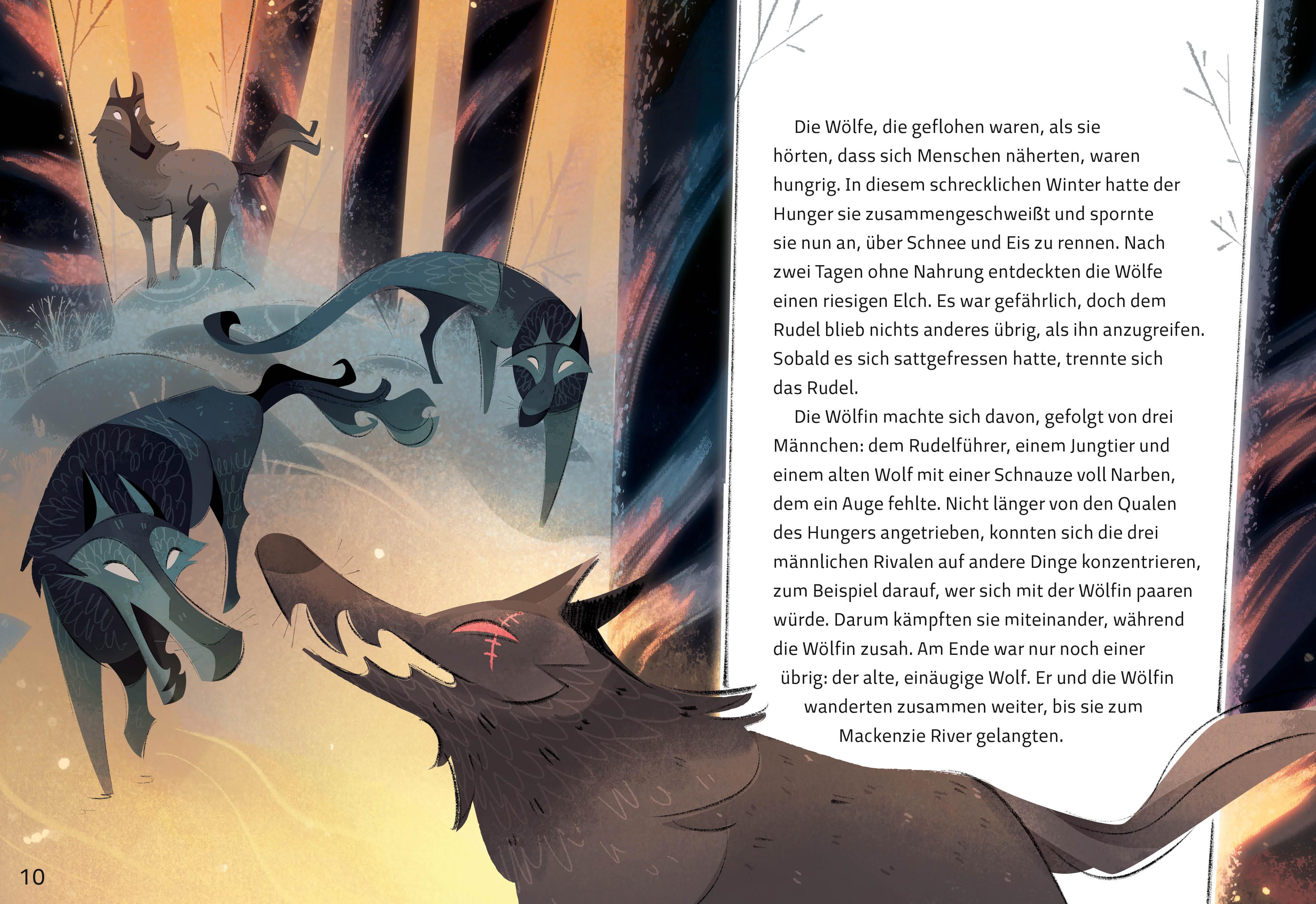 Beispielinhalt (Bild) Wolfsblut (Illustrierte Kinderbuchklassiker)