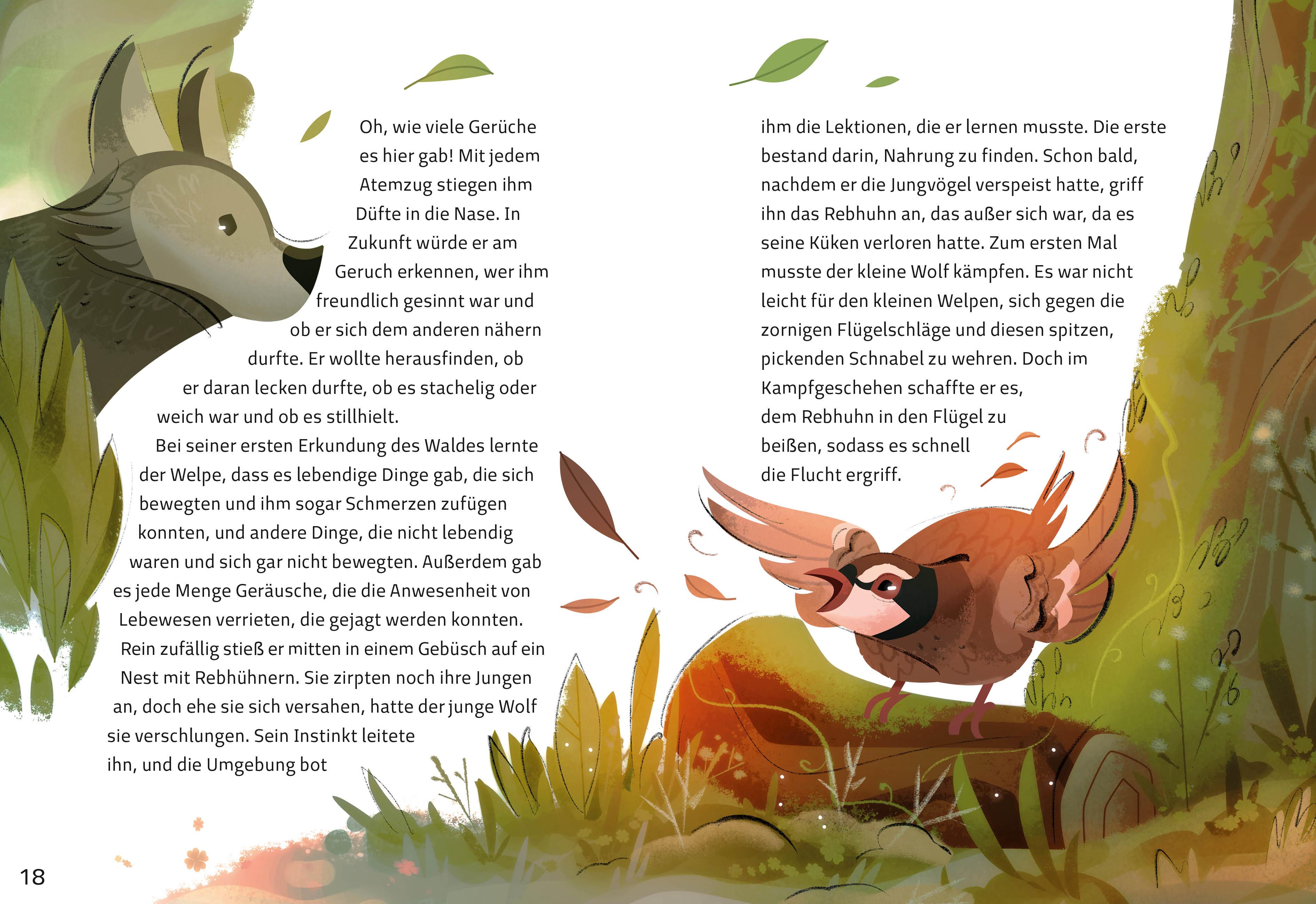 Beispielinhalt (Bild) Wolfsblut (Illustrierte Kinderbuchklassiker)