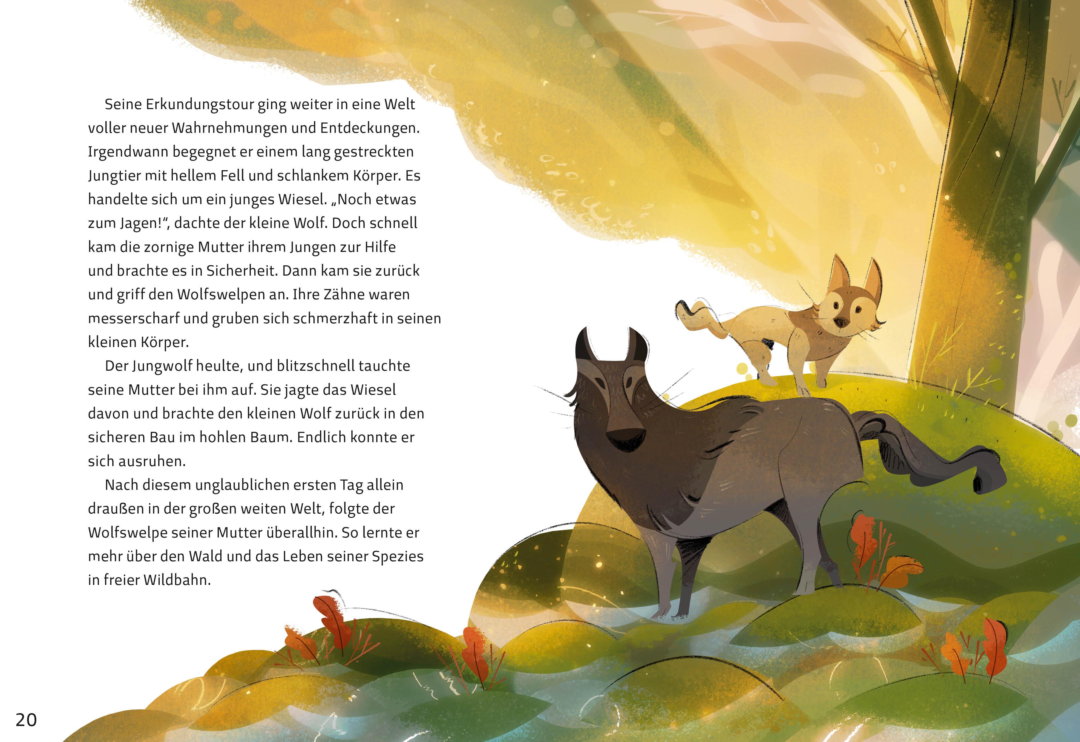 Beispielinhalt (Bild) Wolfsblut (Illustrierte Kinderbuchklassiker)