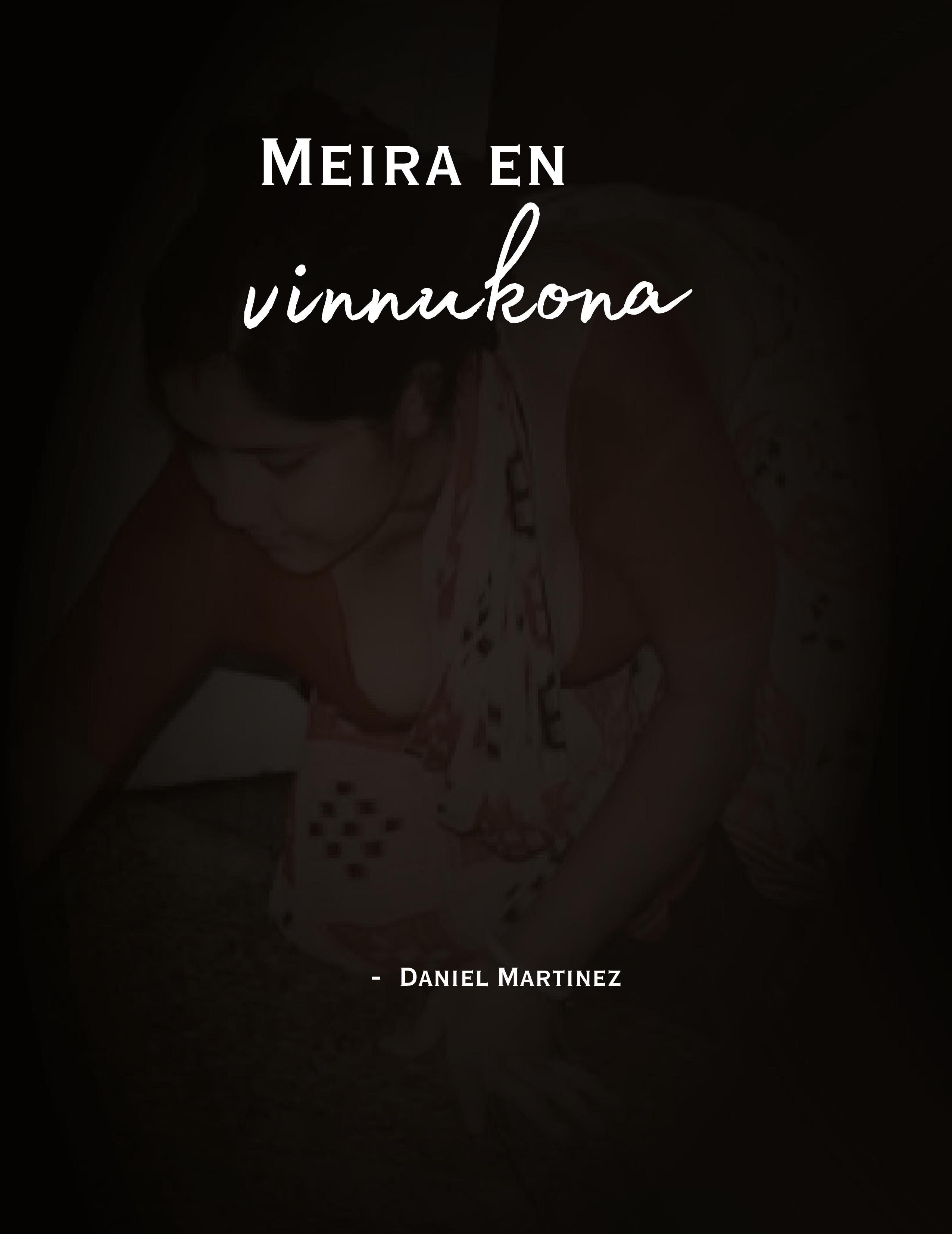 Vorderes Coverbild Meira en vinnukona