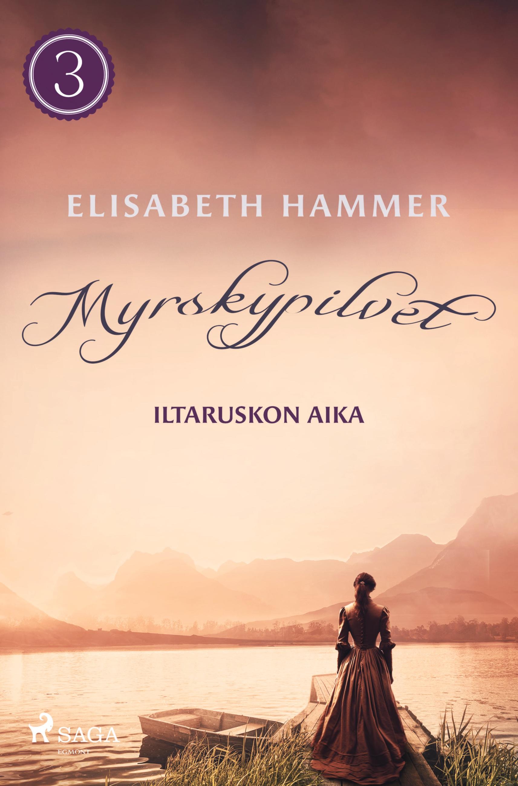 Vorderes Coverbild Myrskypilvet