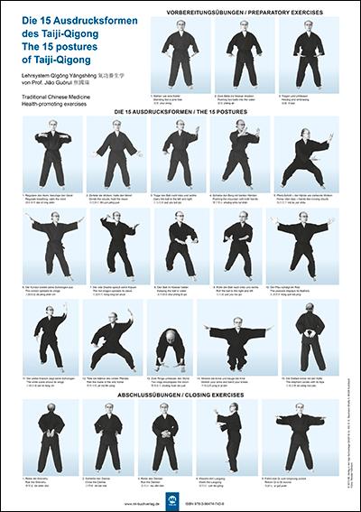 Vorderes Coverbild Die 15 Ausdrucksformen des Taiji Qigong Poster