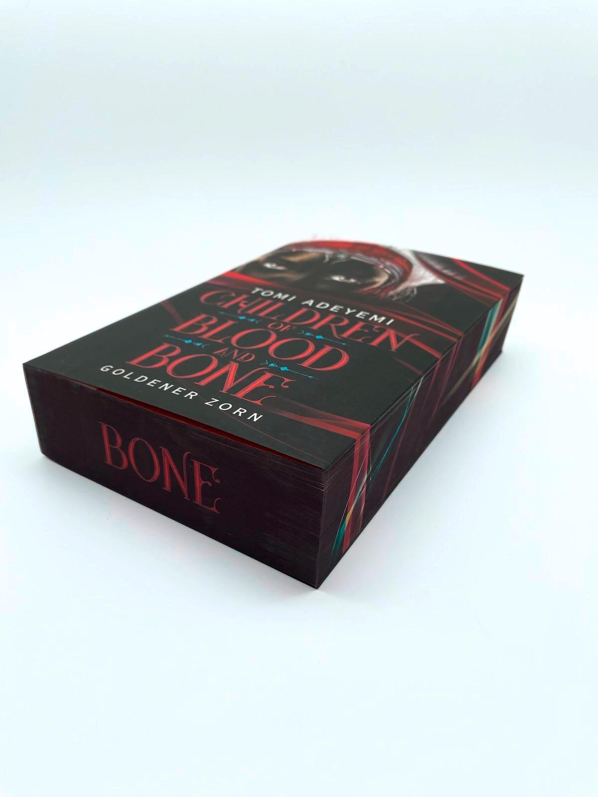 Beispielinhalt (Bild) Children of Blood and Bone