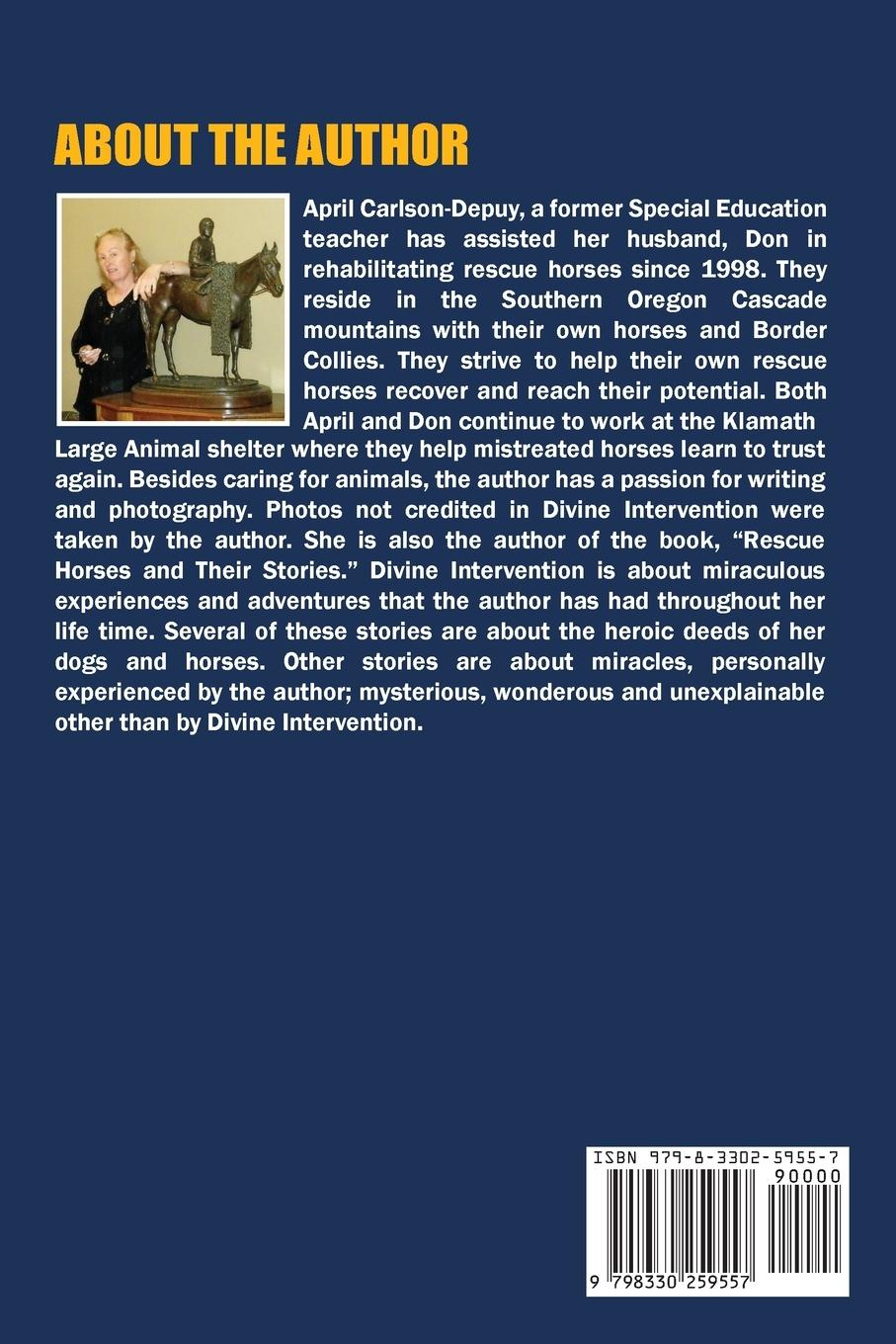 Rückseitencover Divine Intervention