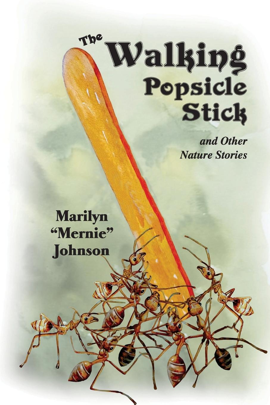 Vorderes Coverbild The Walking Popsicle Stick