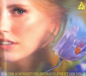 Vorderes Coverbild Von der Schönheit und Zerbrechlichkeit der Dinge