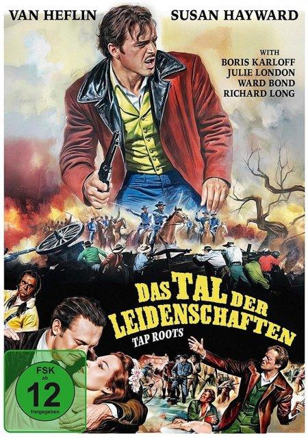 Vorderes Coverbild Das Tal der Leidenschaften