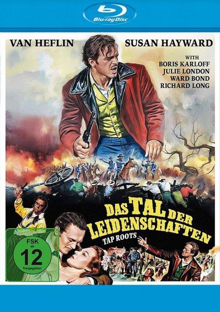 Vorderes Coverbild Das Tal der Leidenschaften