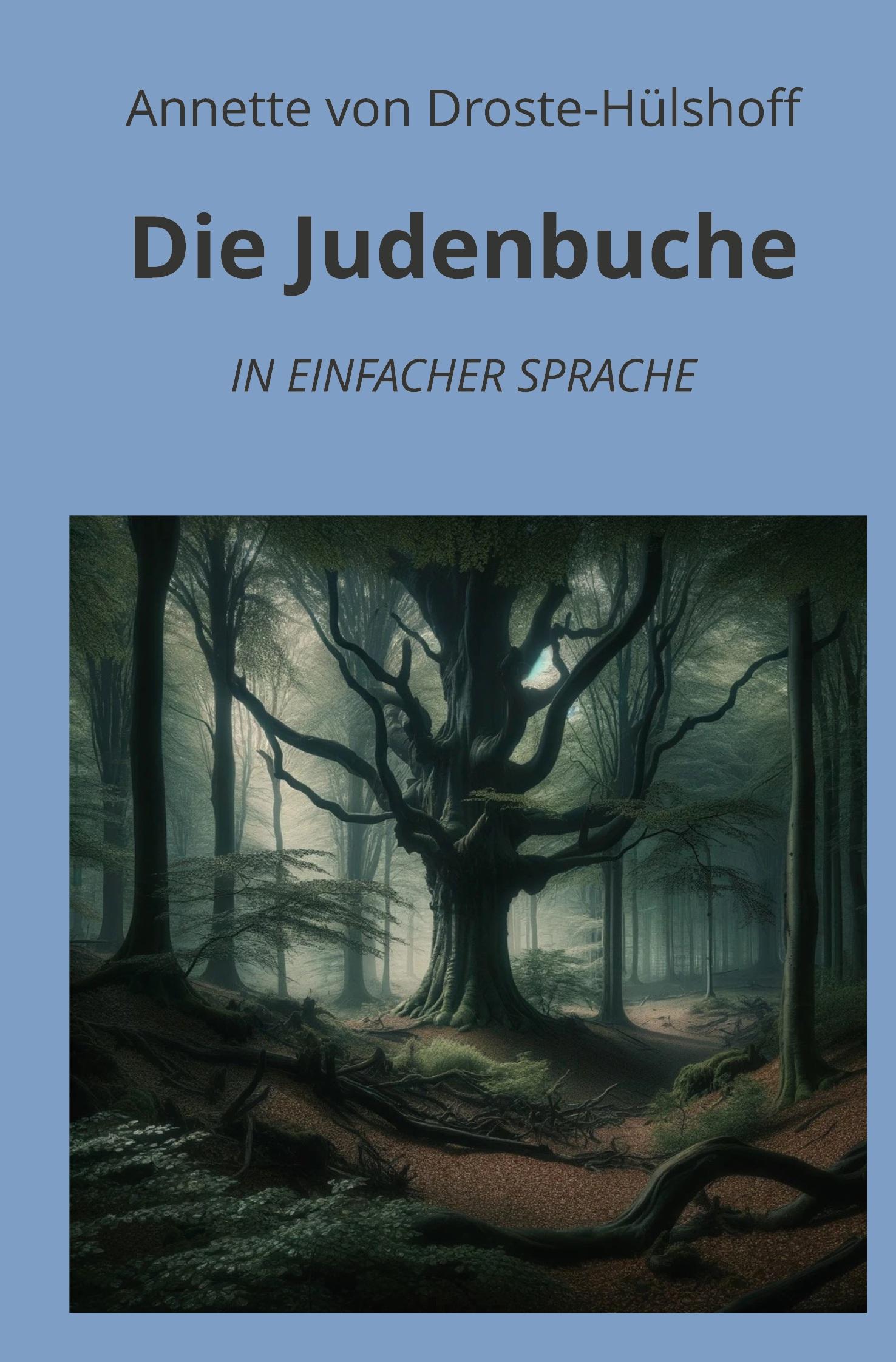 Vorderes Coverbild Die Judenbuche: In Einfacher Sprache