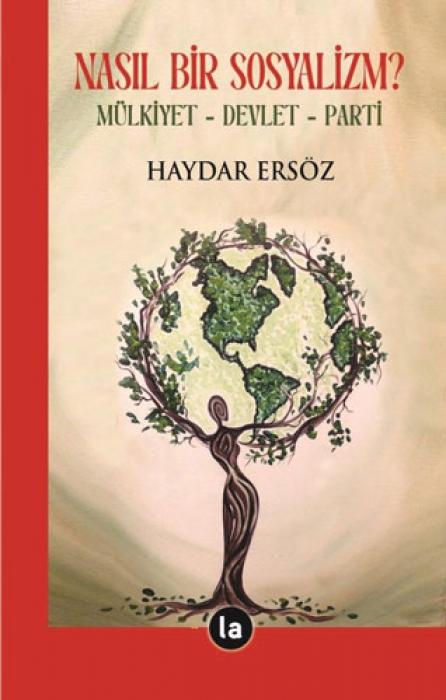 Vorderes Coverbild Nasil Bir Sosyalizm