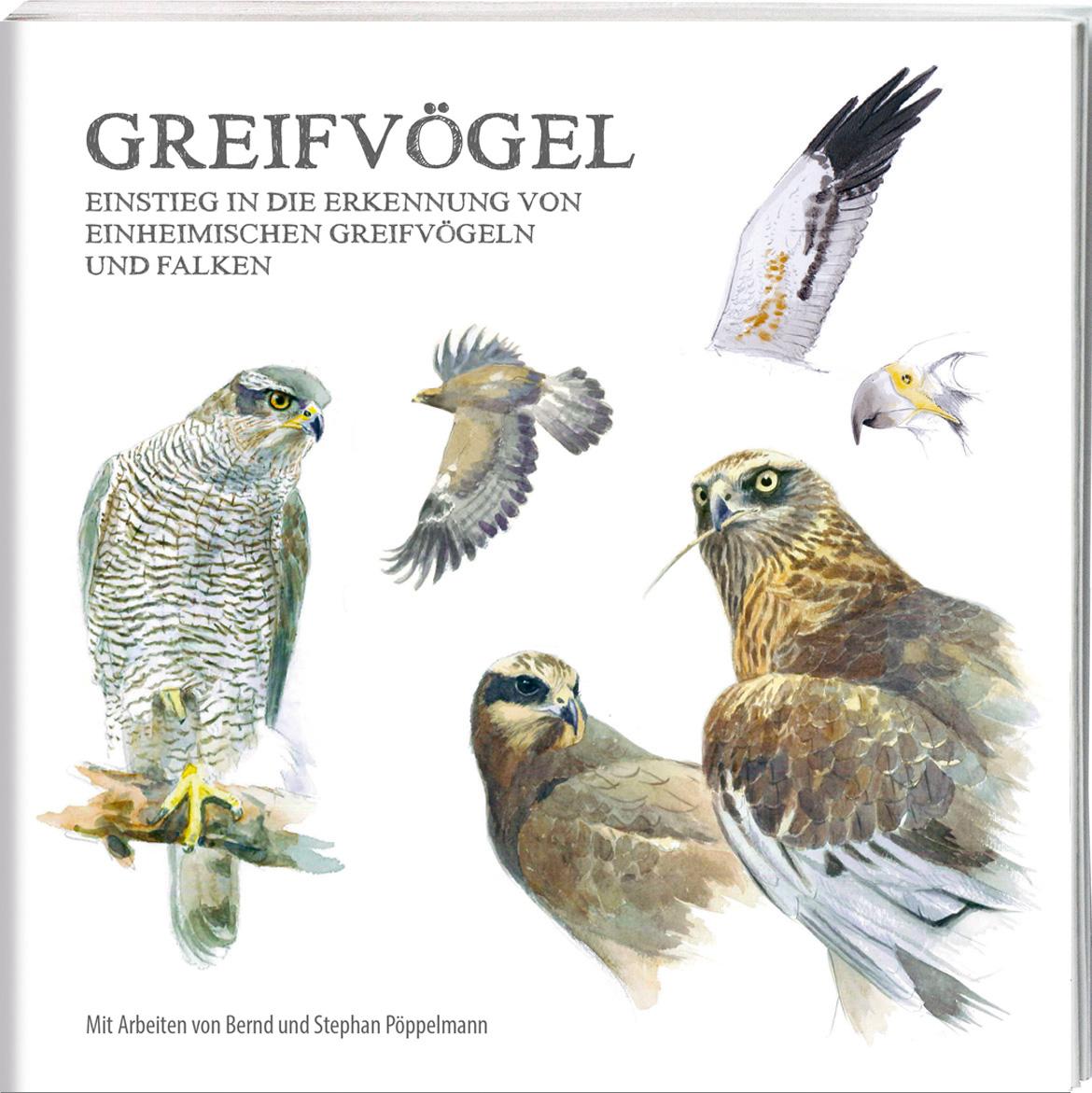 Vorderes Coverbild Greifvögel