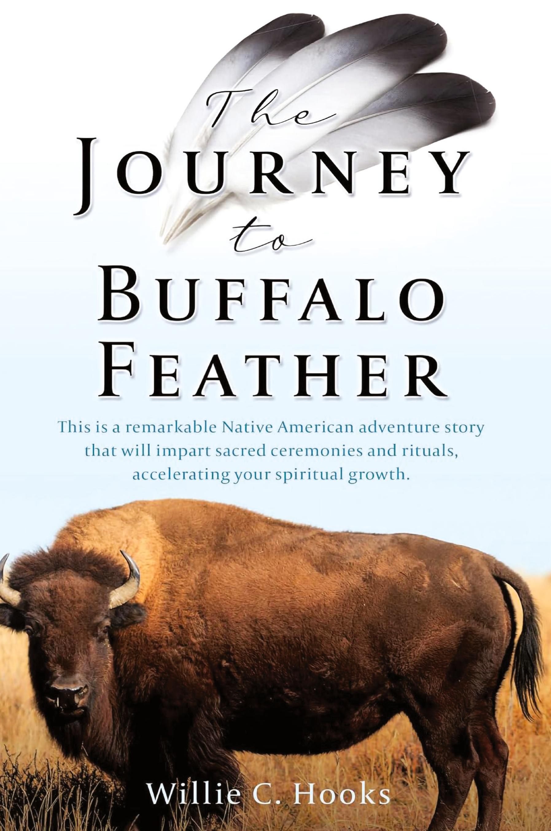 Vorderes Coverbild The Journey to Buffalo Feather