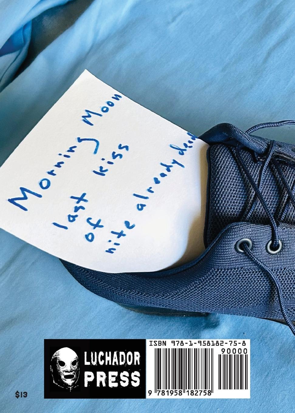 Rückseitencover Poems that Fit in a Shoe