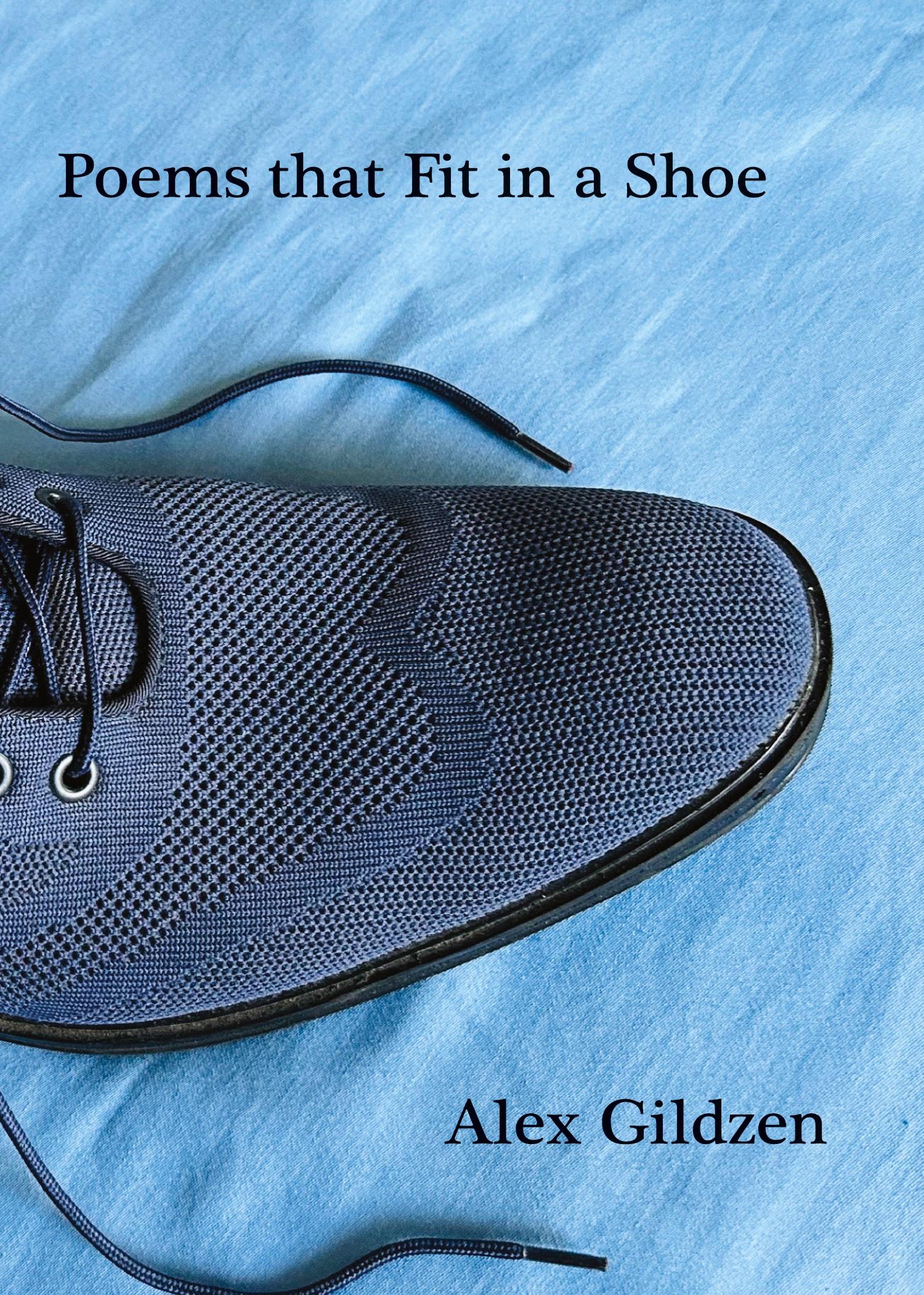 Vorderes Coverbild Poems that Fit in a Shoe
