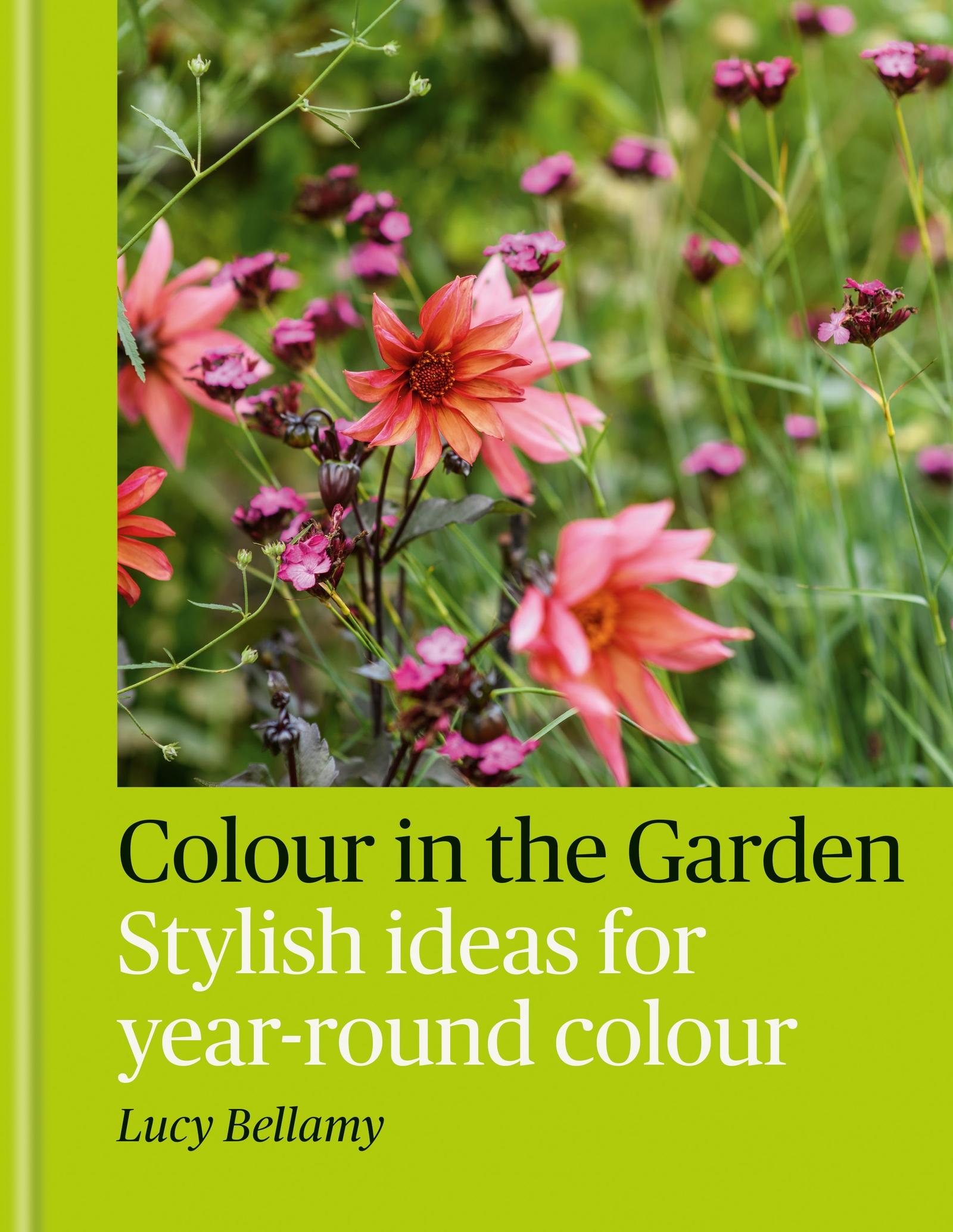 Vorderes Coverbild Colour in the Garden