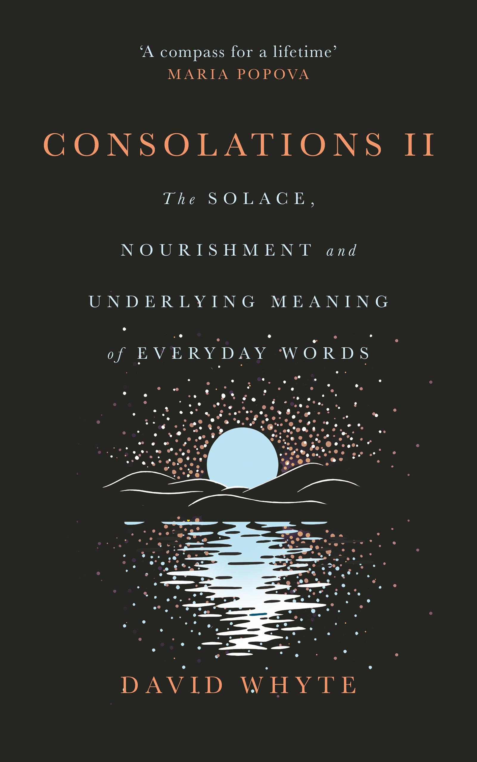 Vorderes Coverbild Consolations II