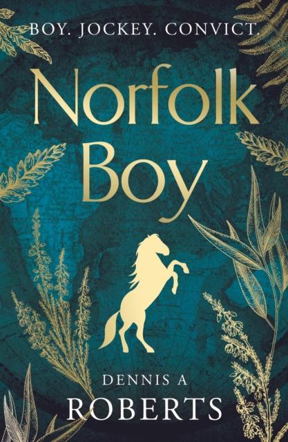 Vorderes Coverbild Norfolk Boy