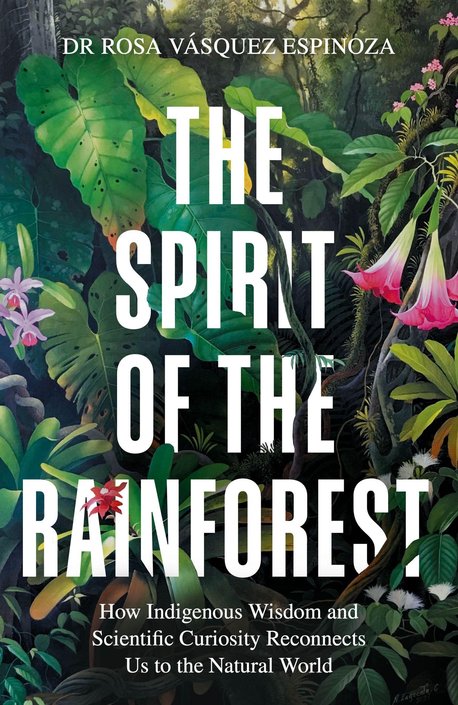 Vorderes Coverbild The Spirit of the Rainforest