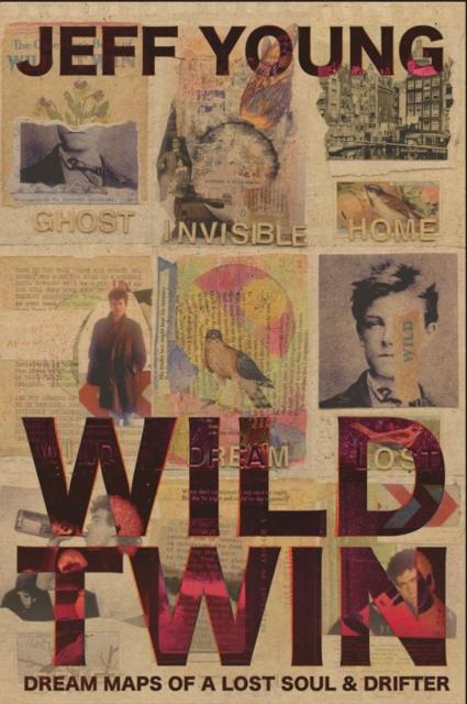 Vorderes Coverbild Wild Twin