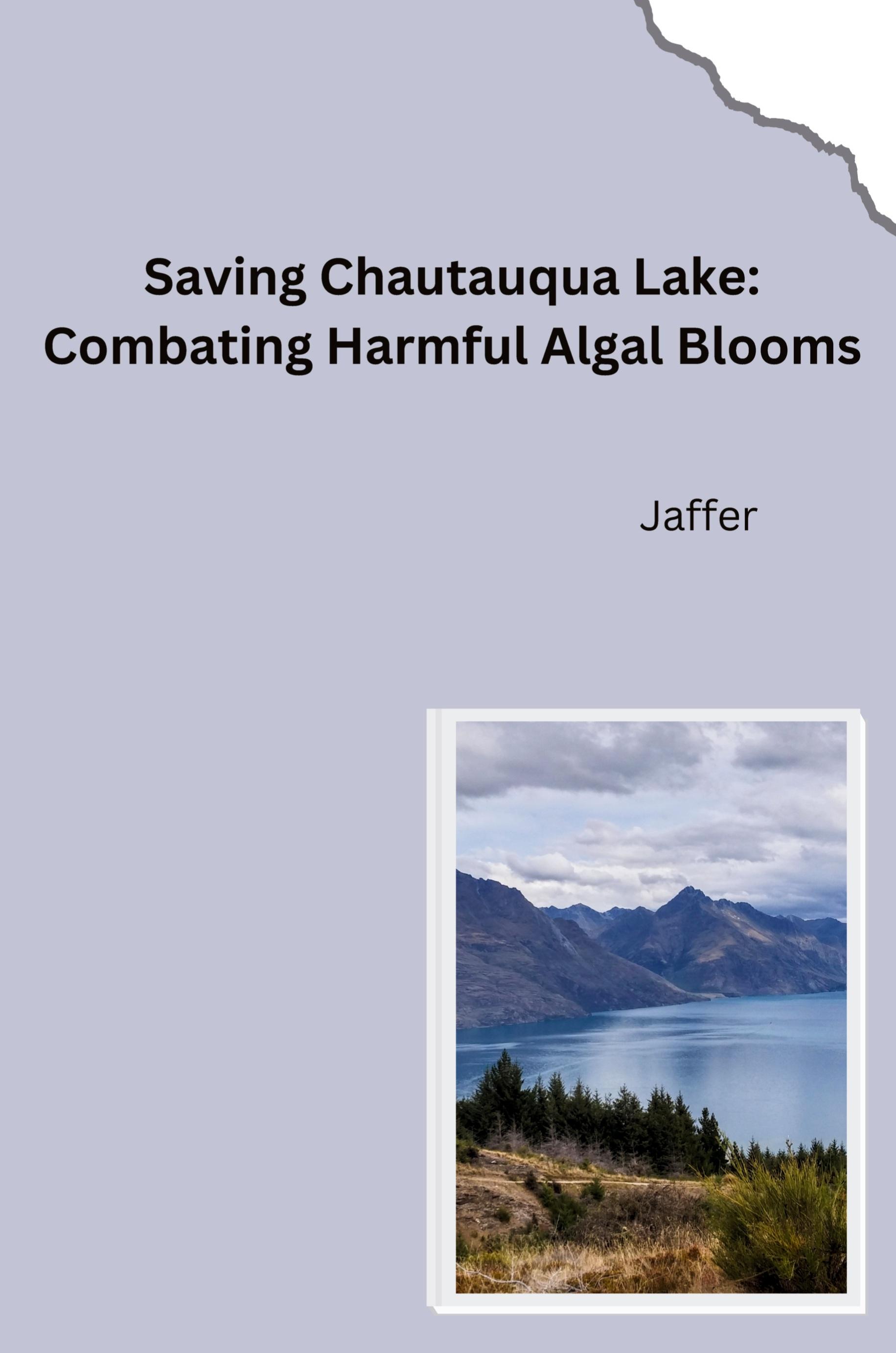 Vorderes Coverbild From Excellent to Impaired: Restoring the Water Quality of Chautauqua Lake
