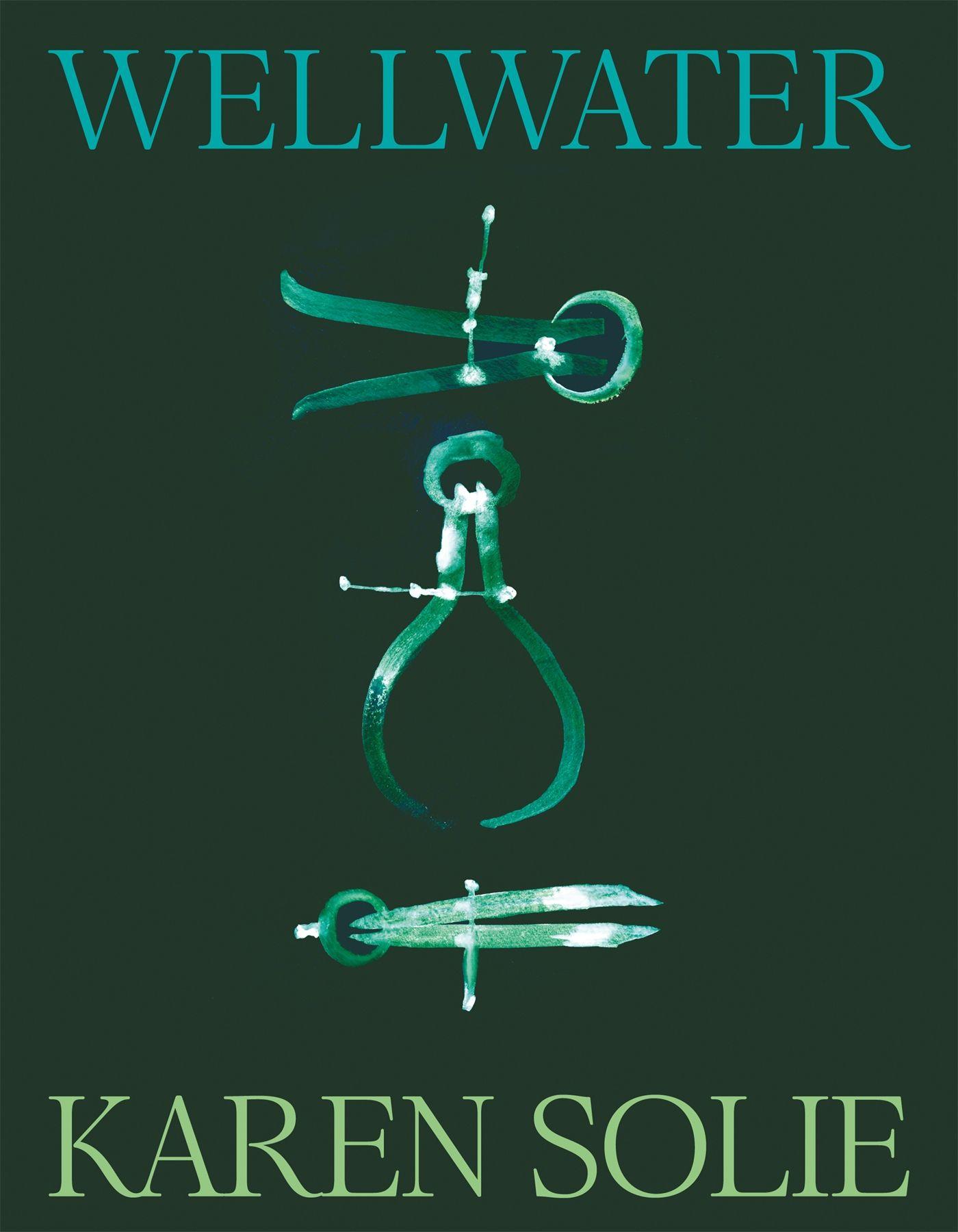Vorderes Coverbild Wellwater
