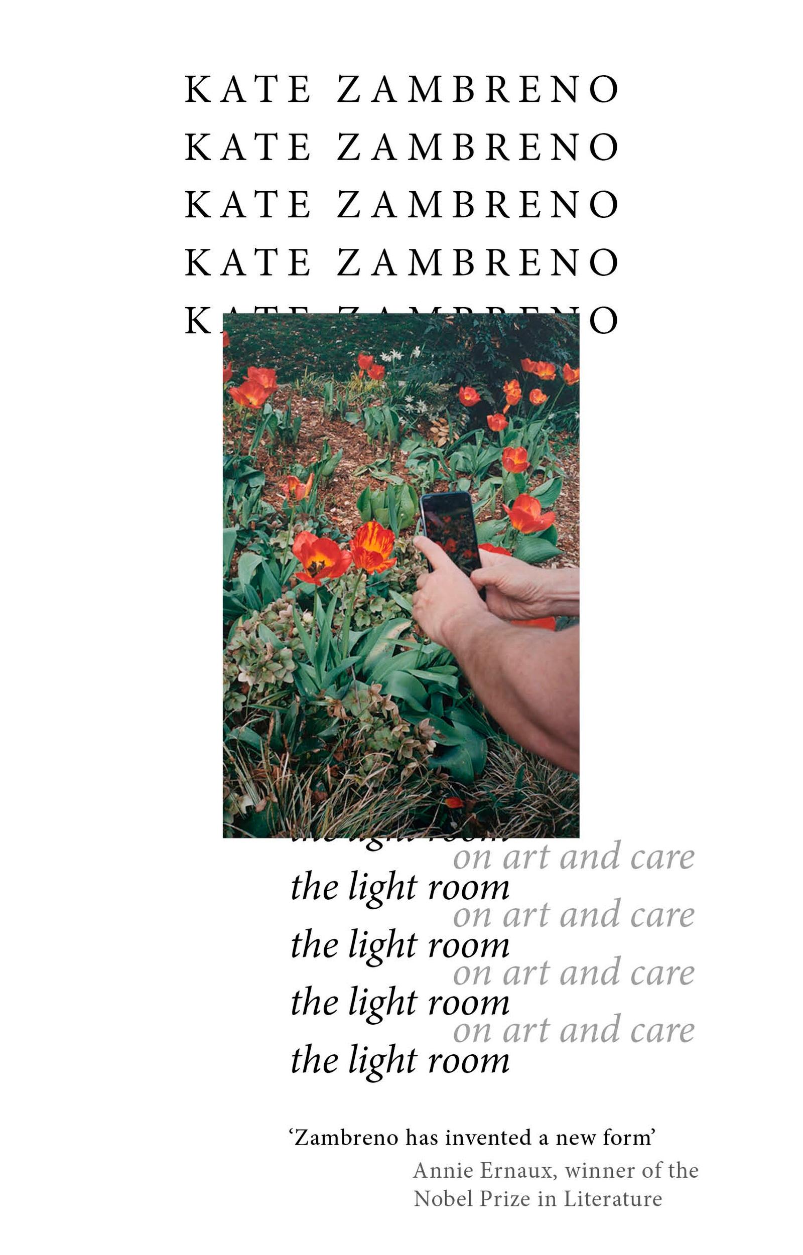 Vorderes Coverbild The Light Room