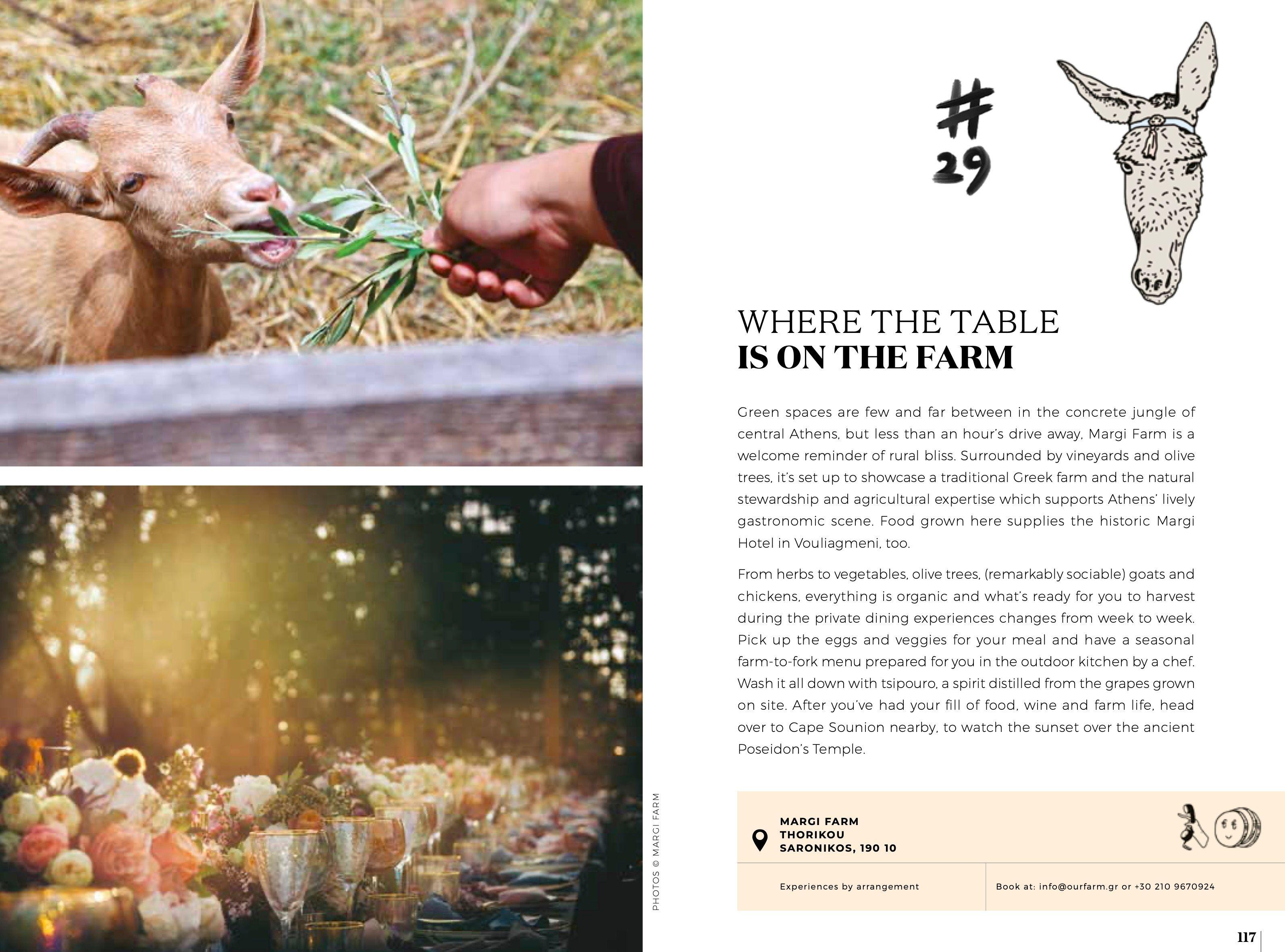 Beispielinhalt (Bild) Soul of Athens