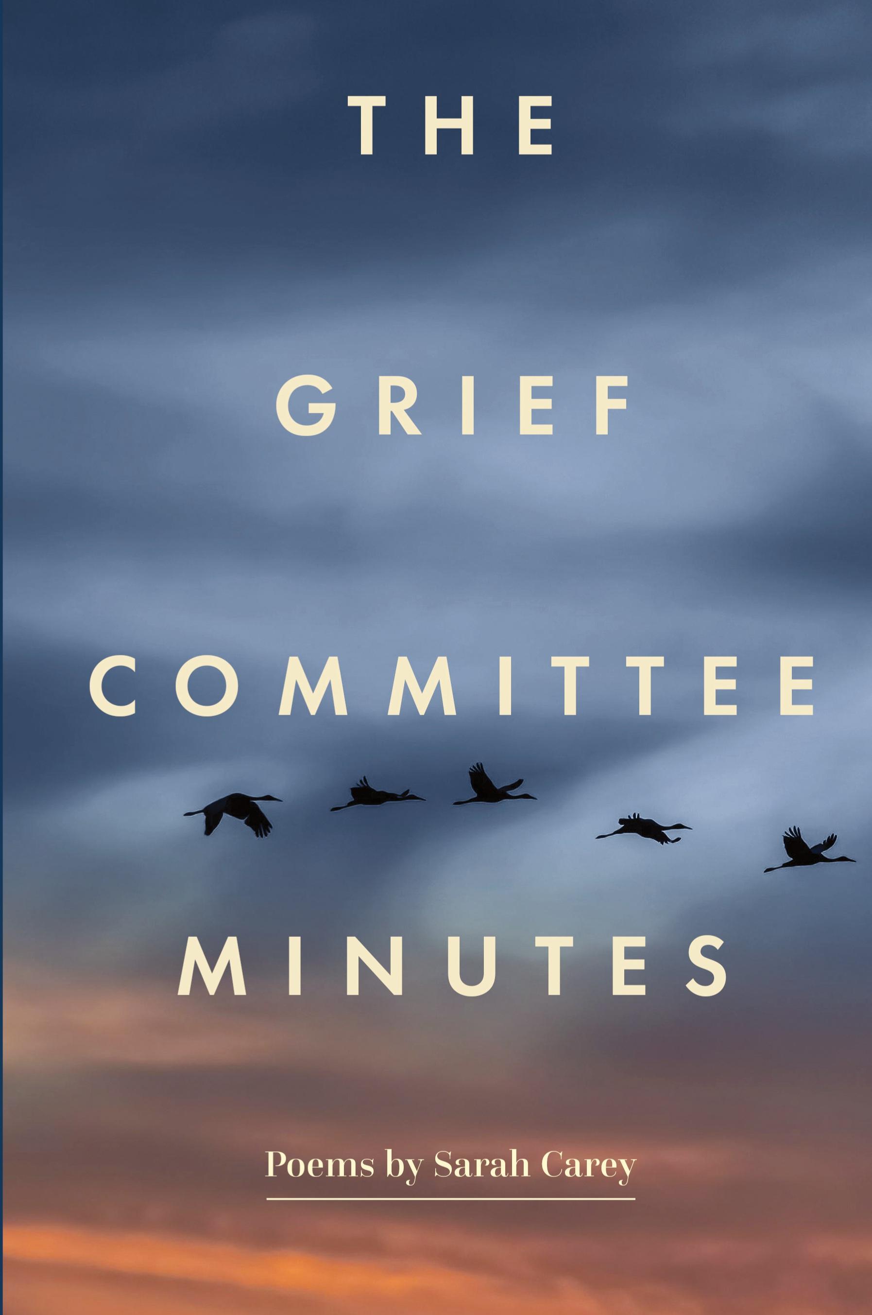 Vorderes Coverbild The Grief Committee Minutes