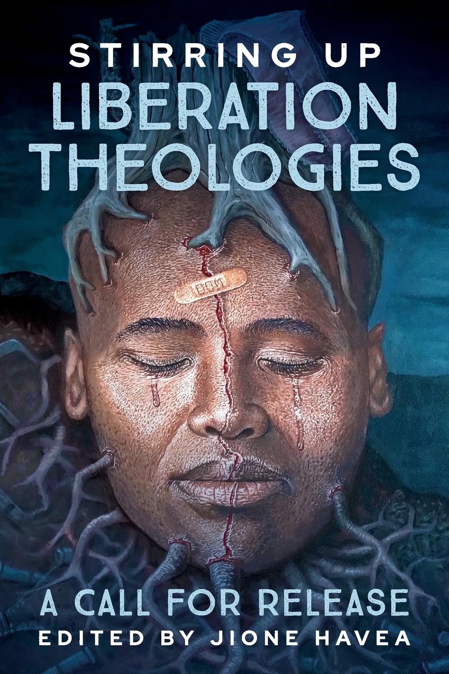 Vorderes Coverbild Stirring Up Liberation Theologies