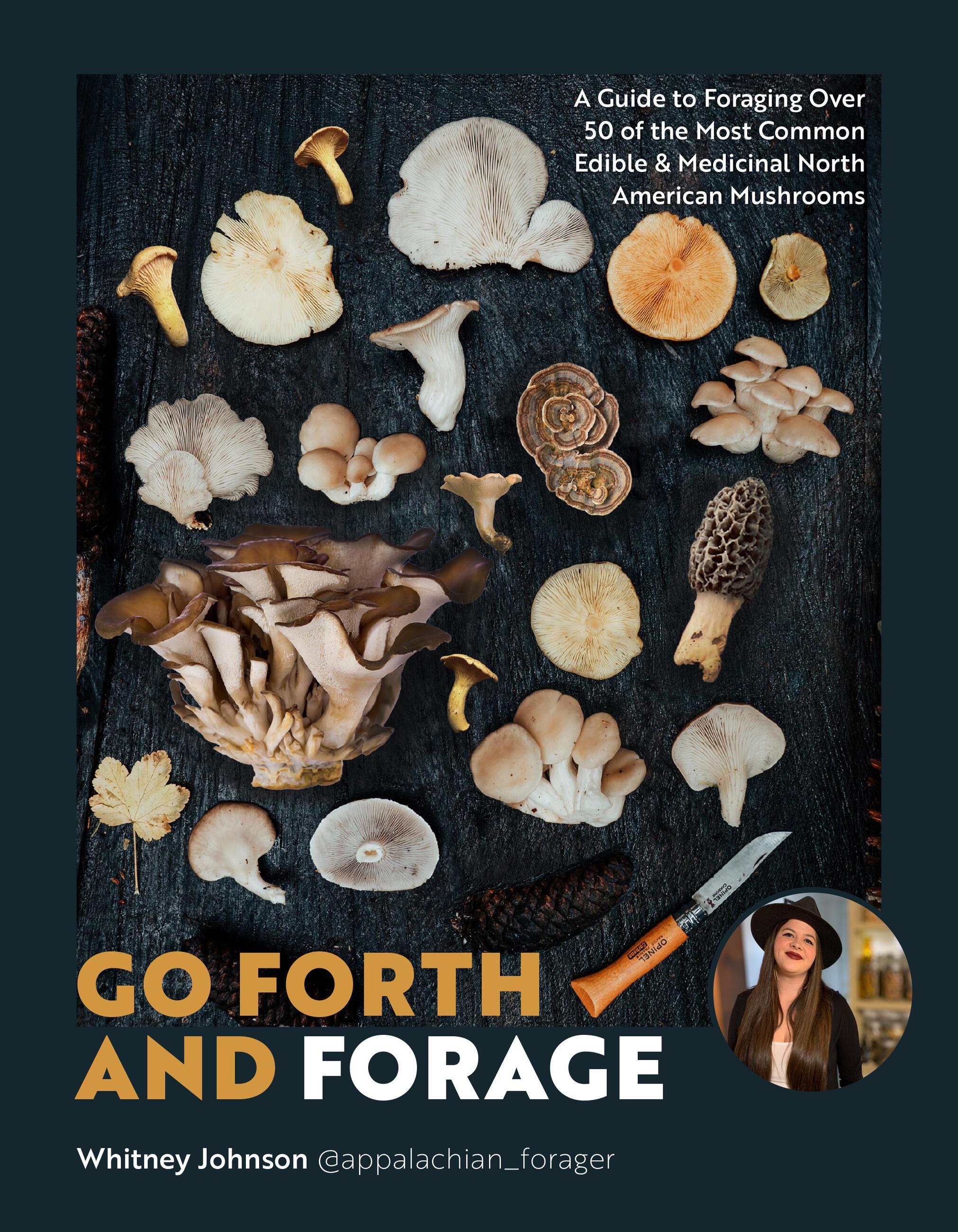 Vorderes Coverbild Go Forth and Forage