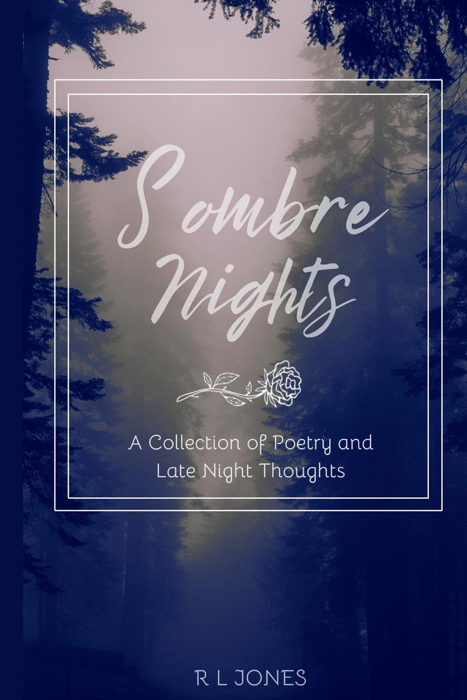 Vorderes Coverbild Sombre Nights