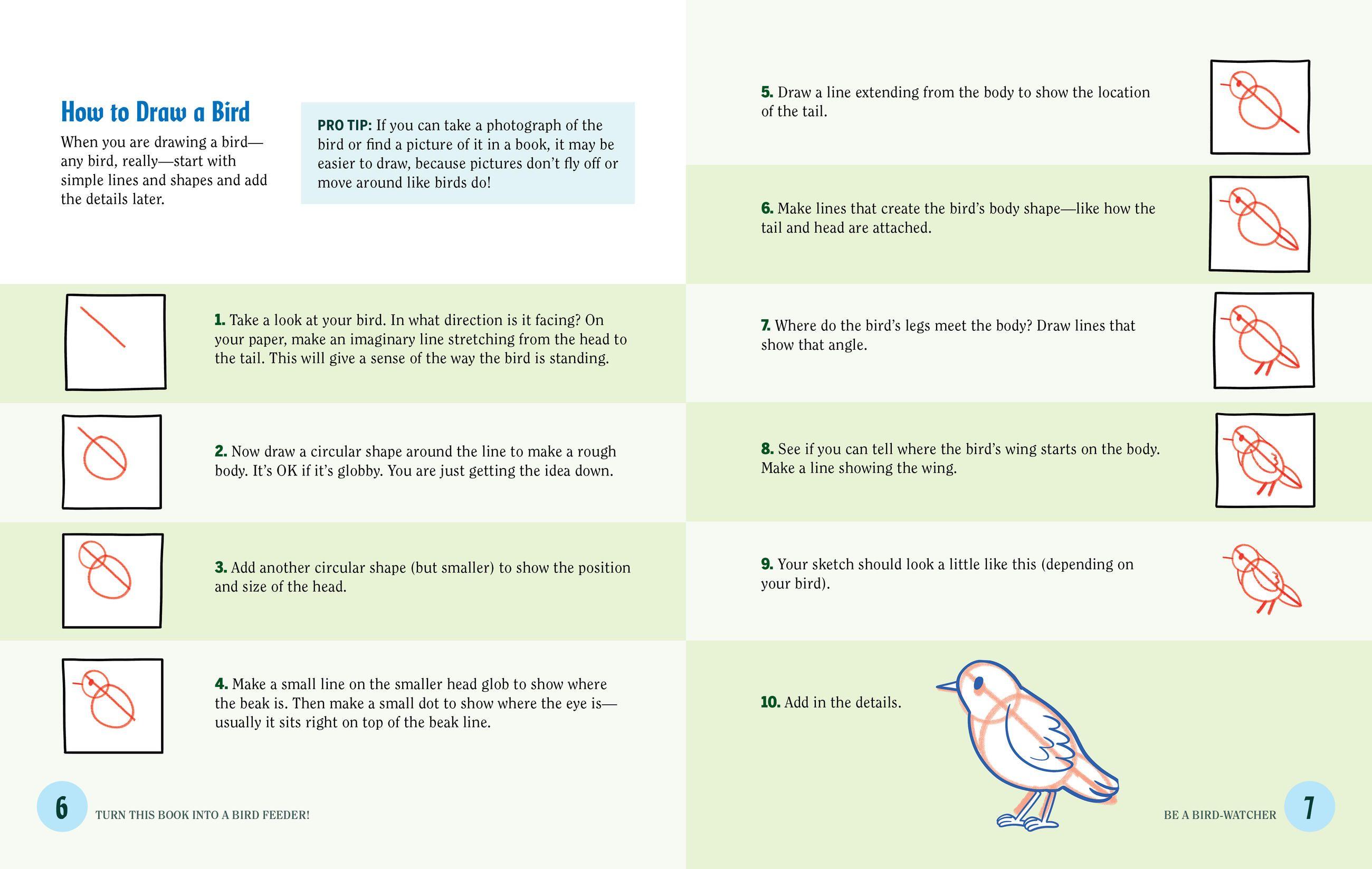 Beispielinhalt (Bild) Turn This Book Into a Bird Feeder!