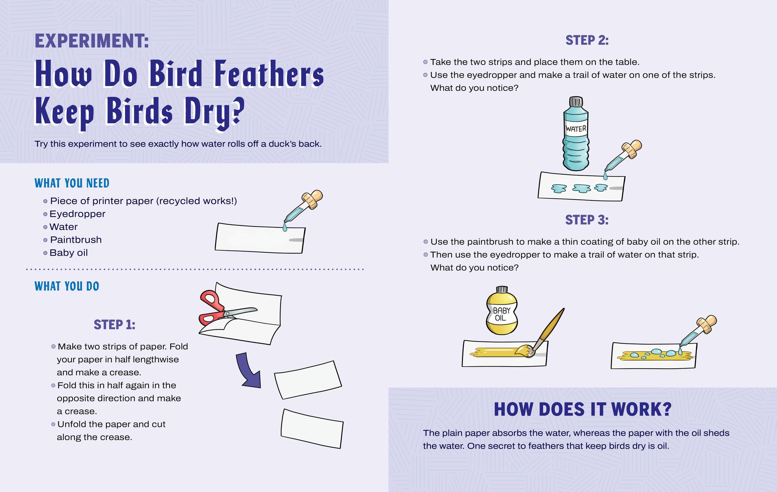 Beispielinhalt (Bild) Turn This Book Into a Bird Feeder!