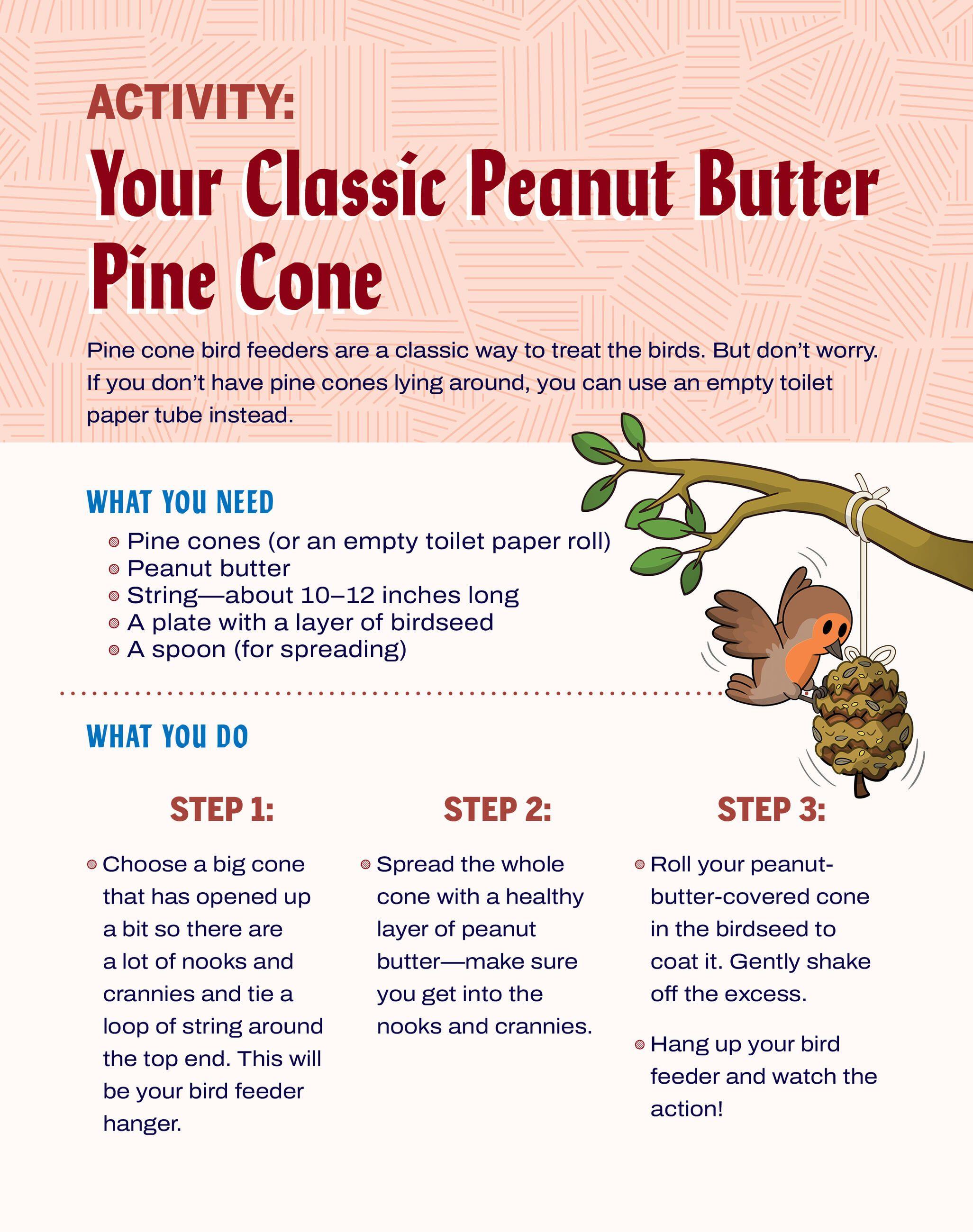 Beispielinhalt (Bild) Turn This Book Into a Bird Feeder!