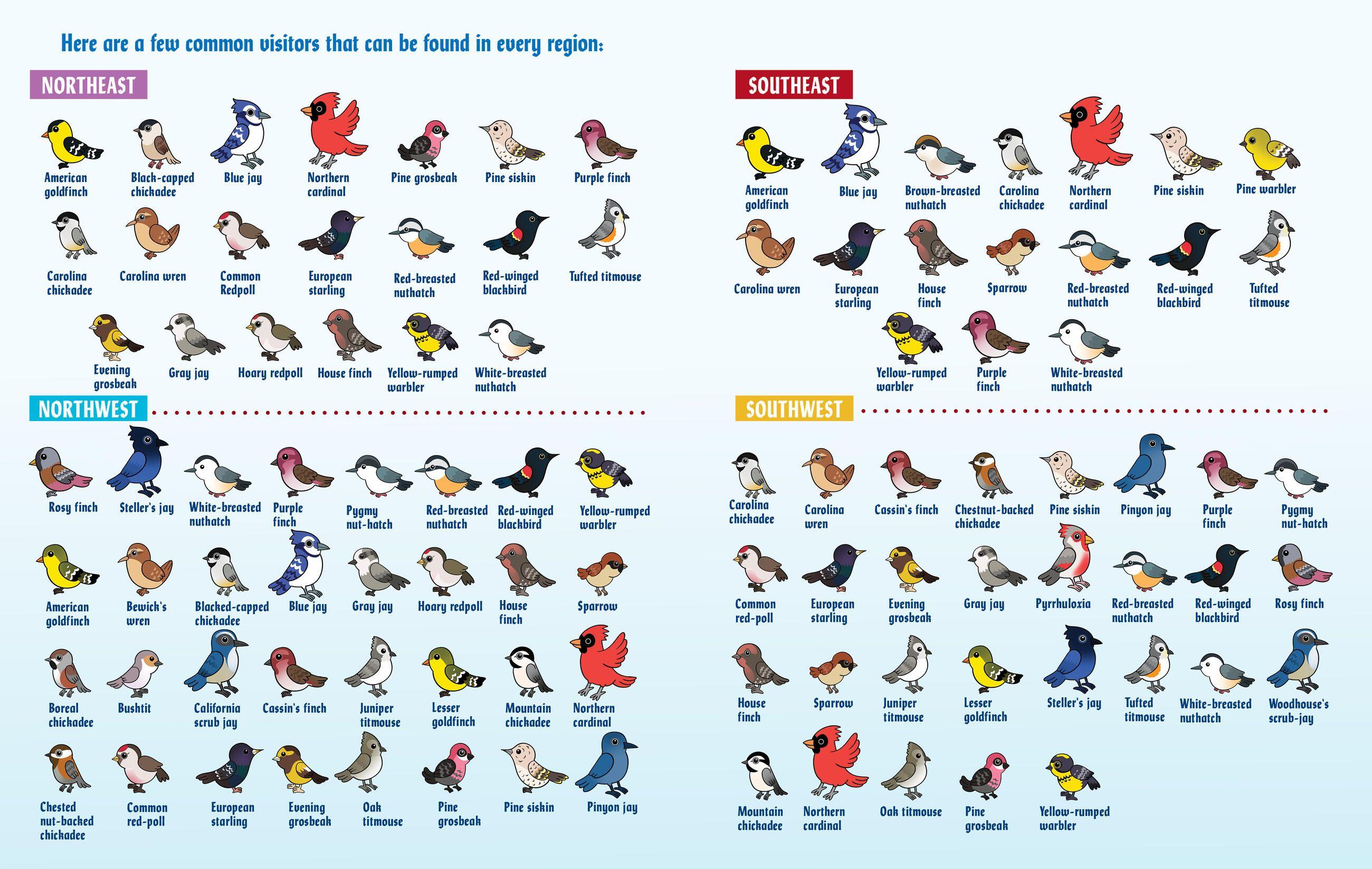 Beispielinhalt (Bild) Turn This Book Into a Bird Feeder!