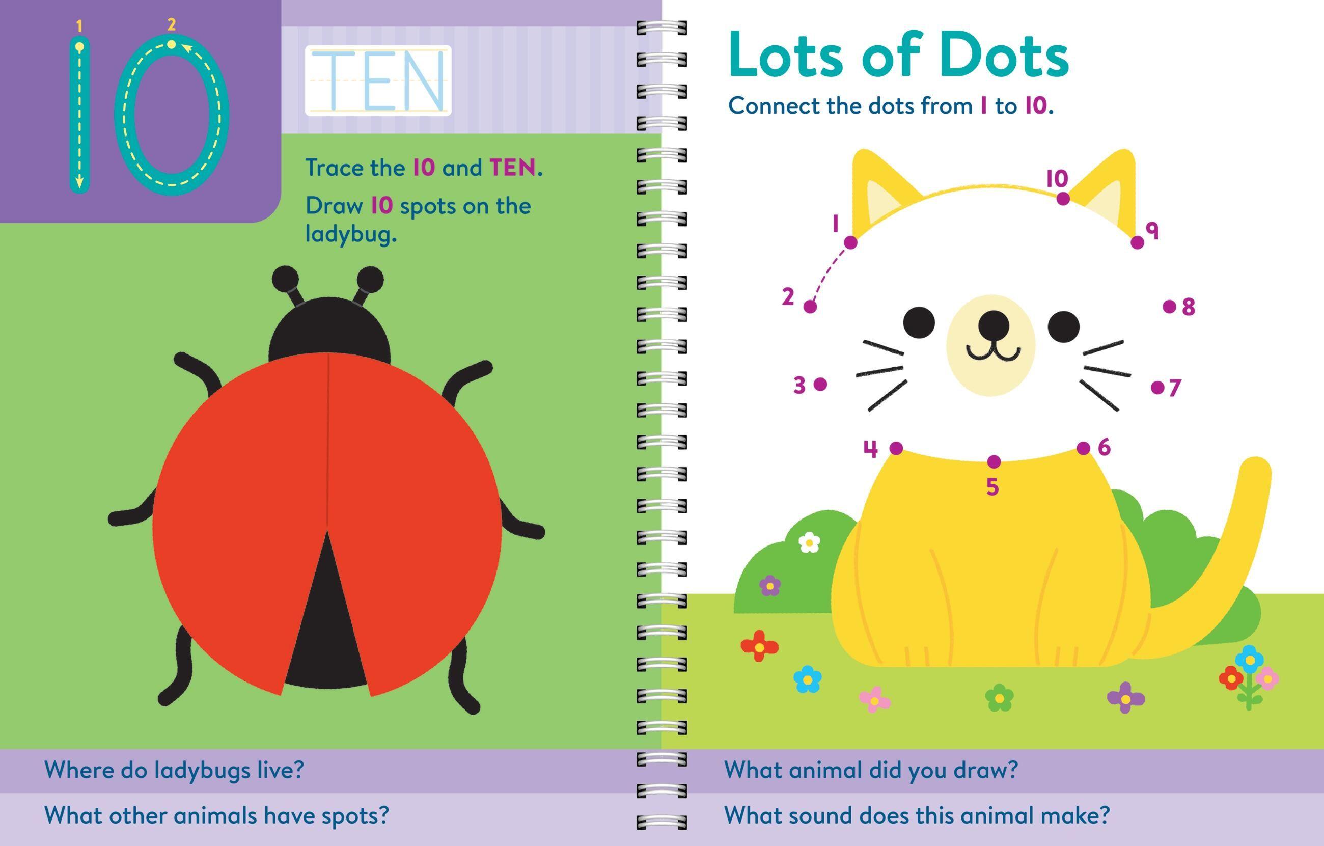 Beispielinhalt (Bild) Brain Quest Write and Erase: Preschool Skills