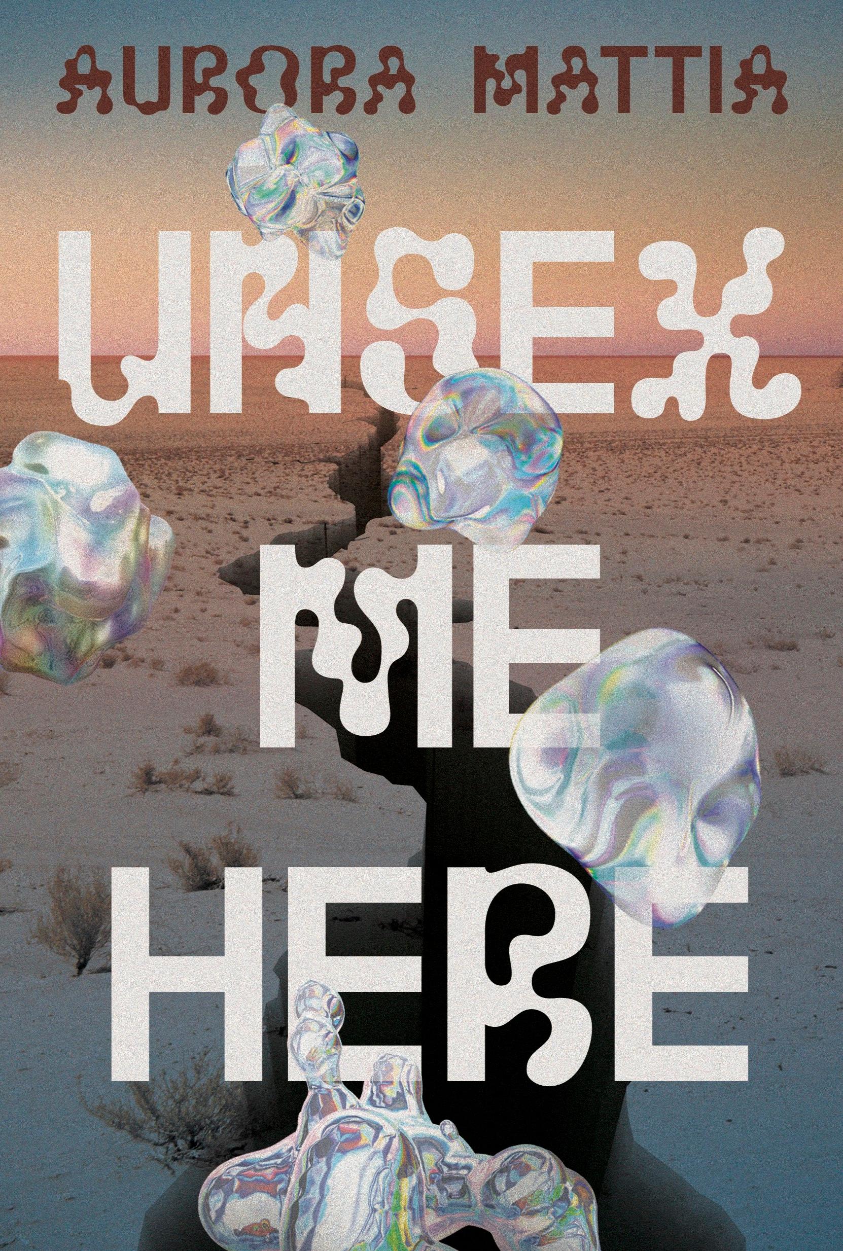 Vorderes Coverbild Unsex Me Here