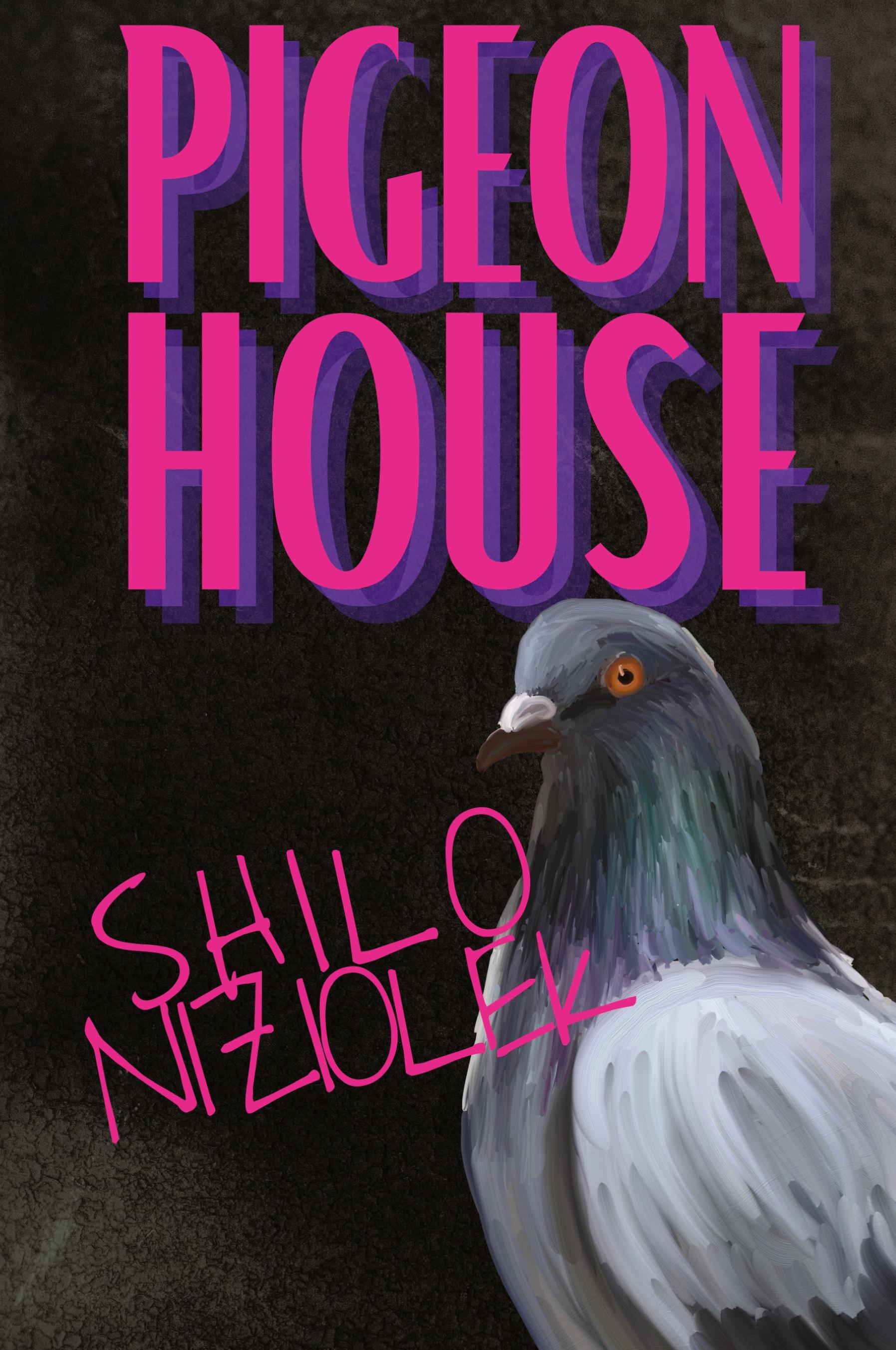 Vorderes Coverbild Pigeon House