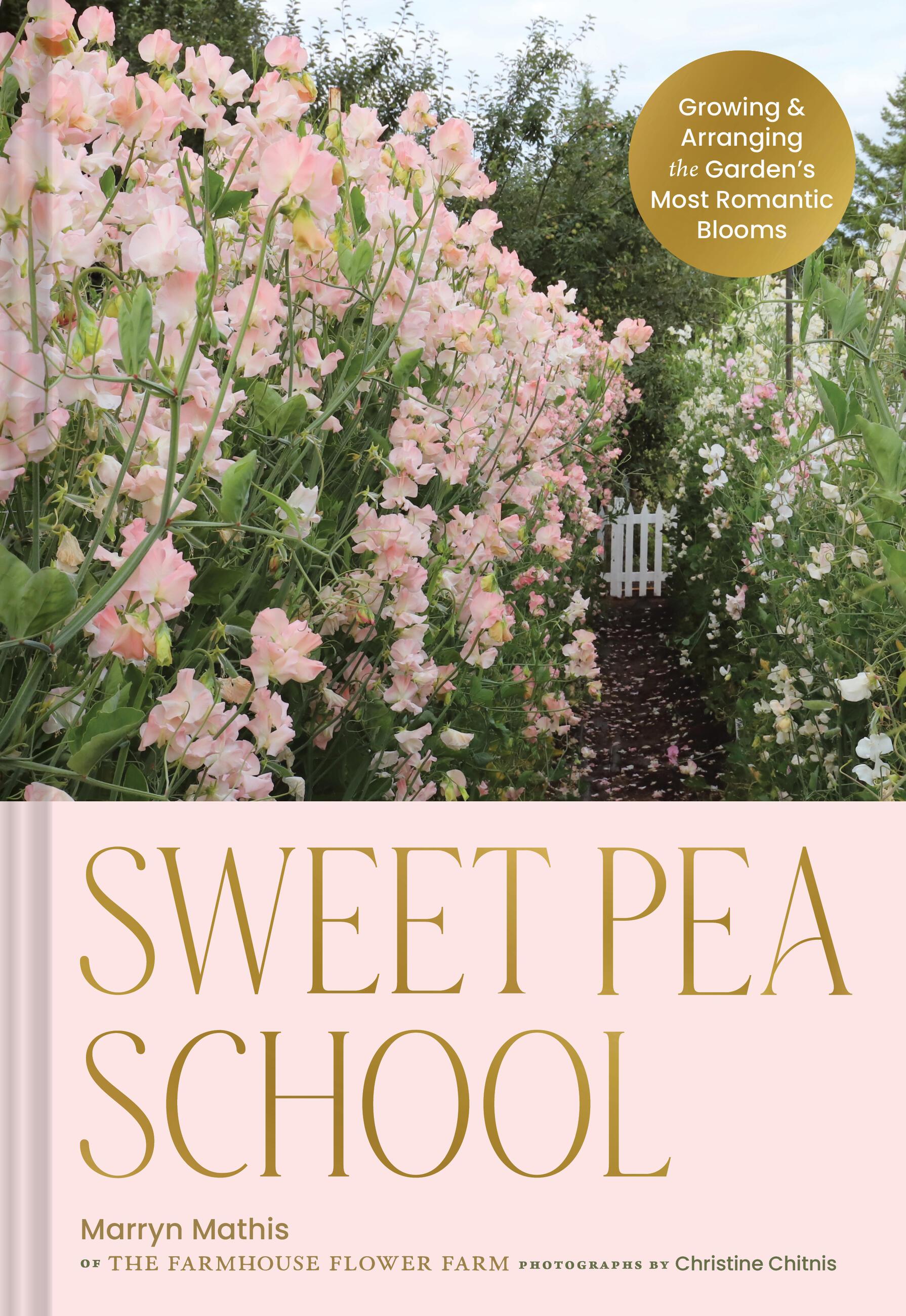 Vorderes Coverbild Sweet Pea School